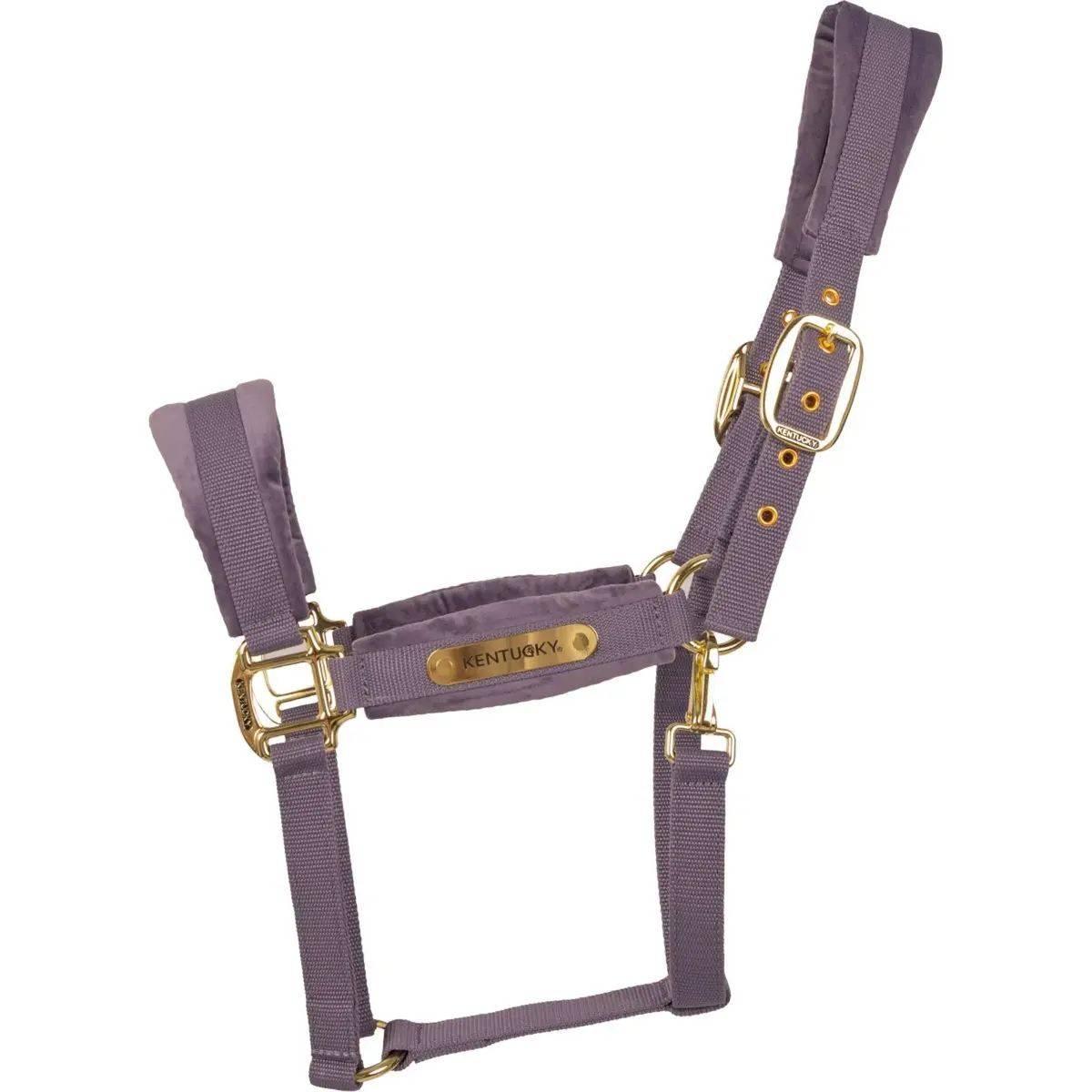 Kentucky Halster Velvet Paars 1
