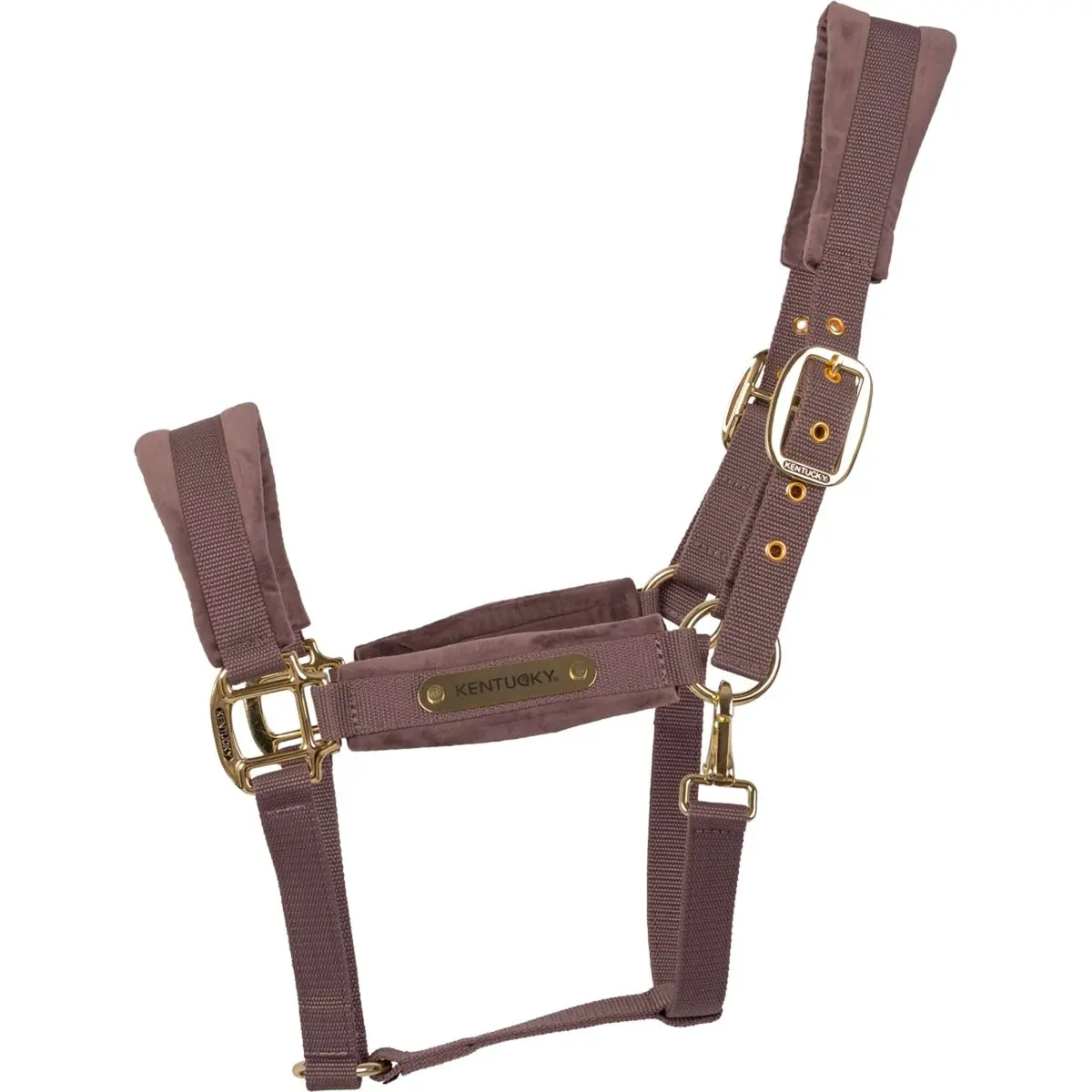 Kentucky Halster Velvet Lichtpaars 1