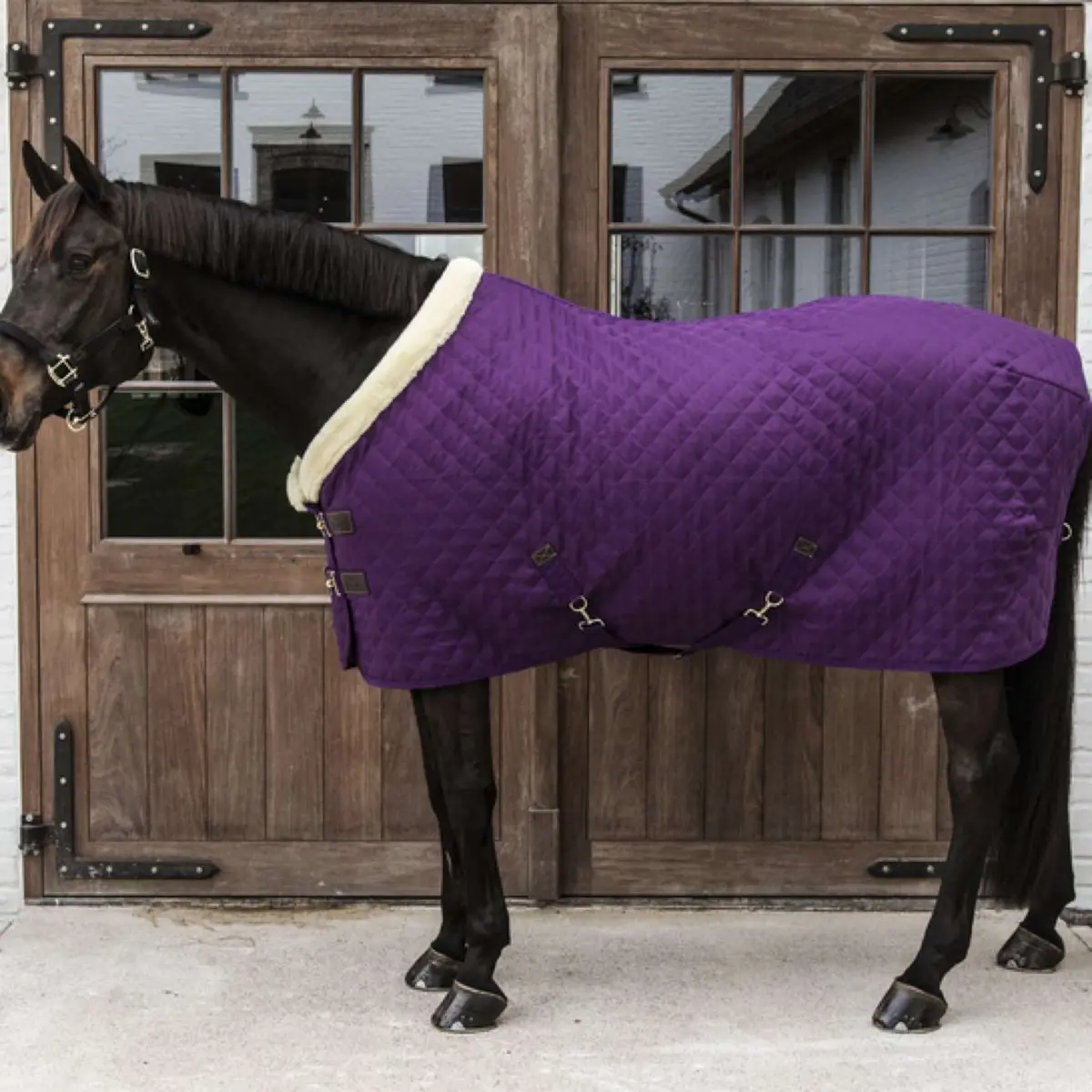 Kentucky Showdeken 160G Paars 1