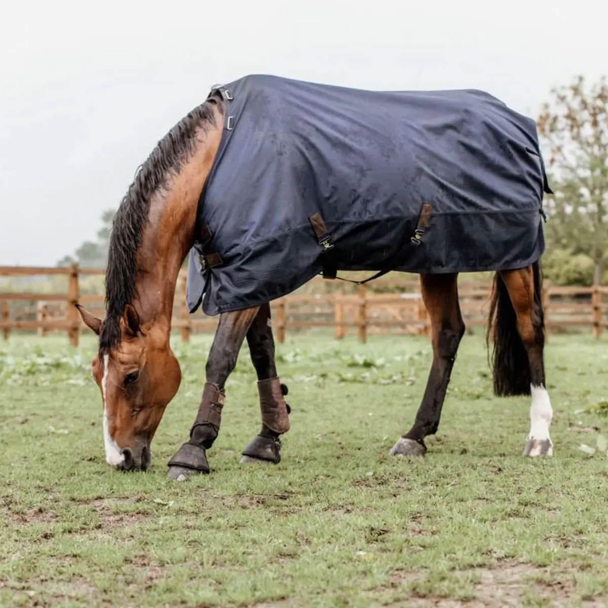 Kentucky Turnout Rug All Weather 0G Navy 1