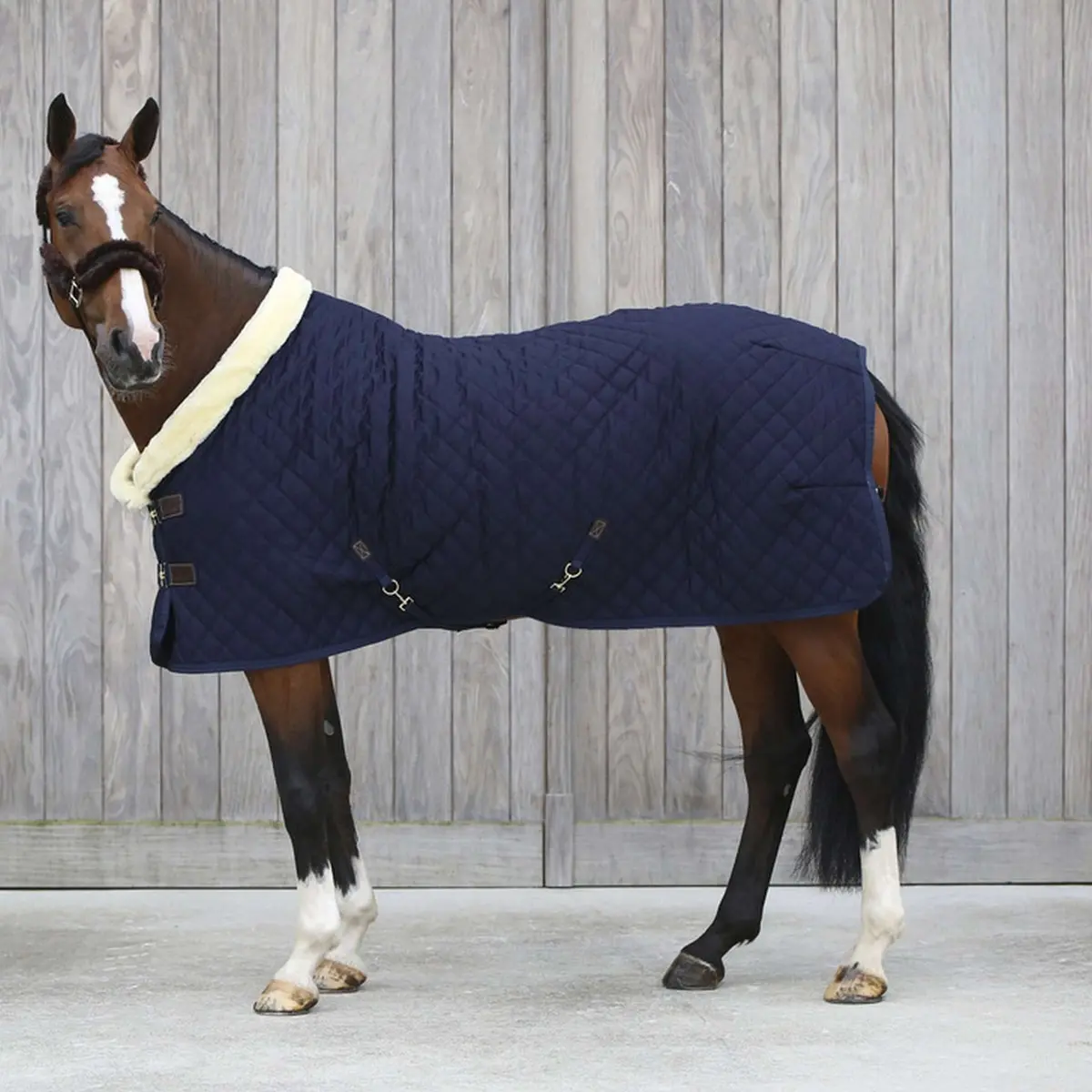 Kentucky Showdeken 160G Navy 1