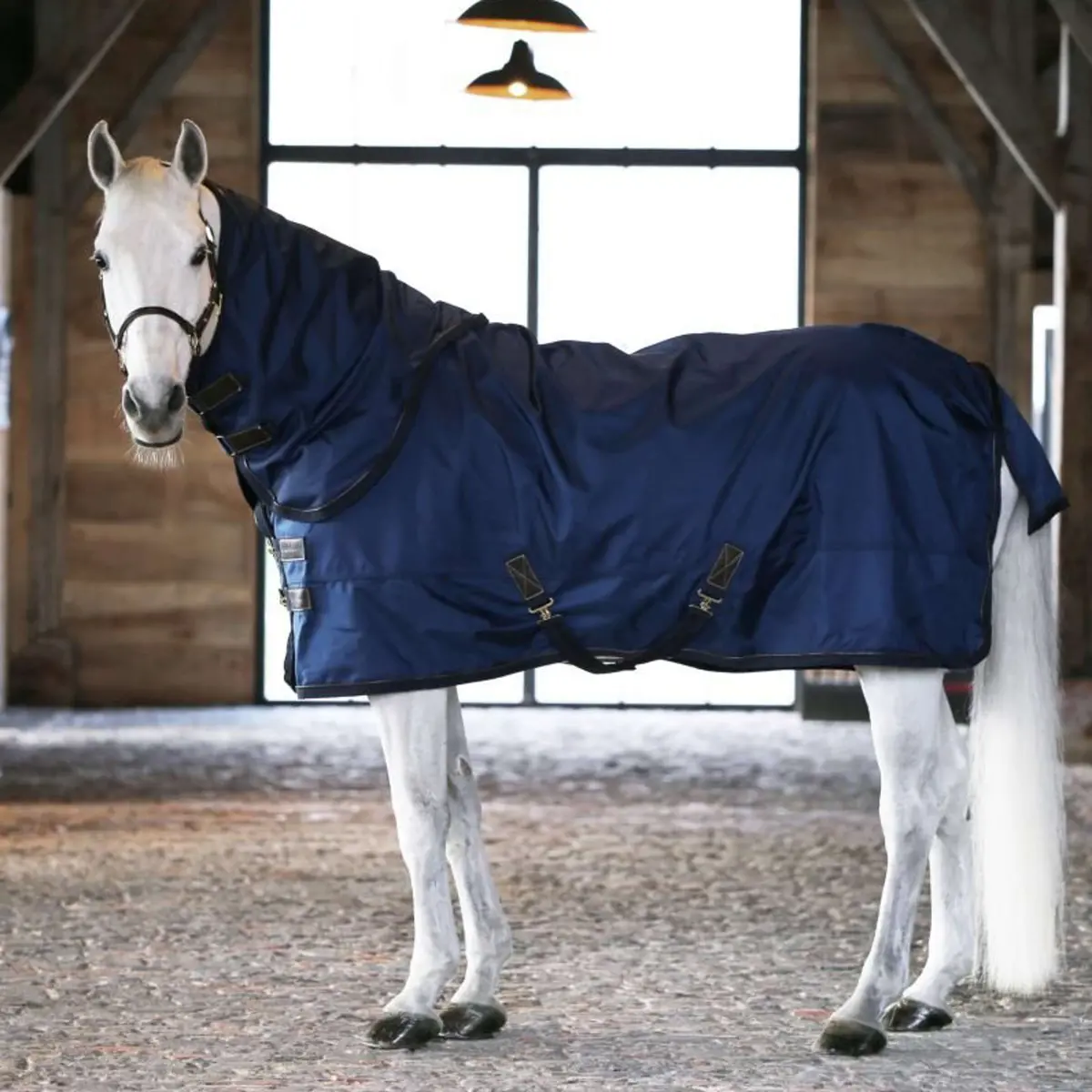 Kentucky Turnout Rug All Weather 300G Navy 1