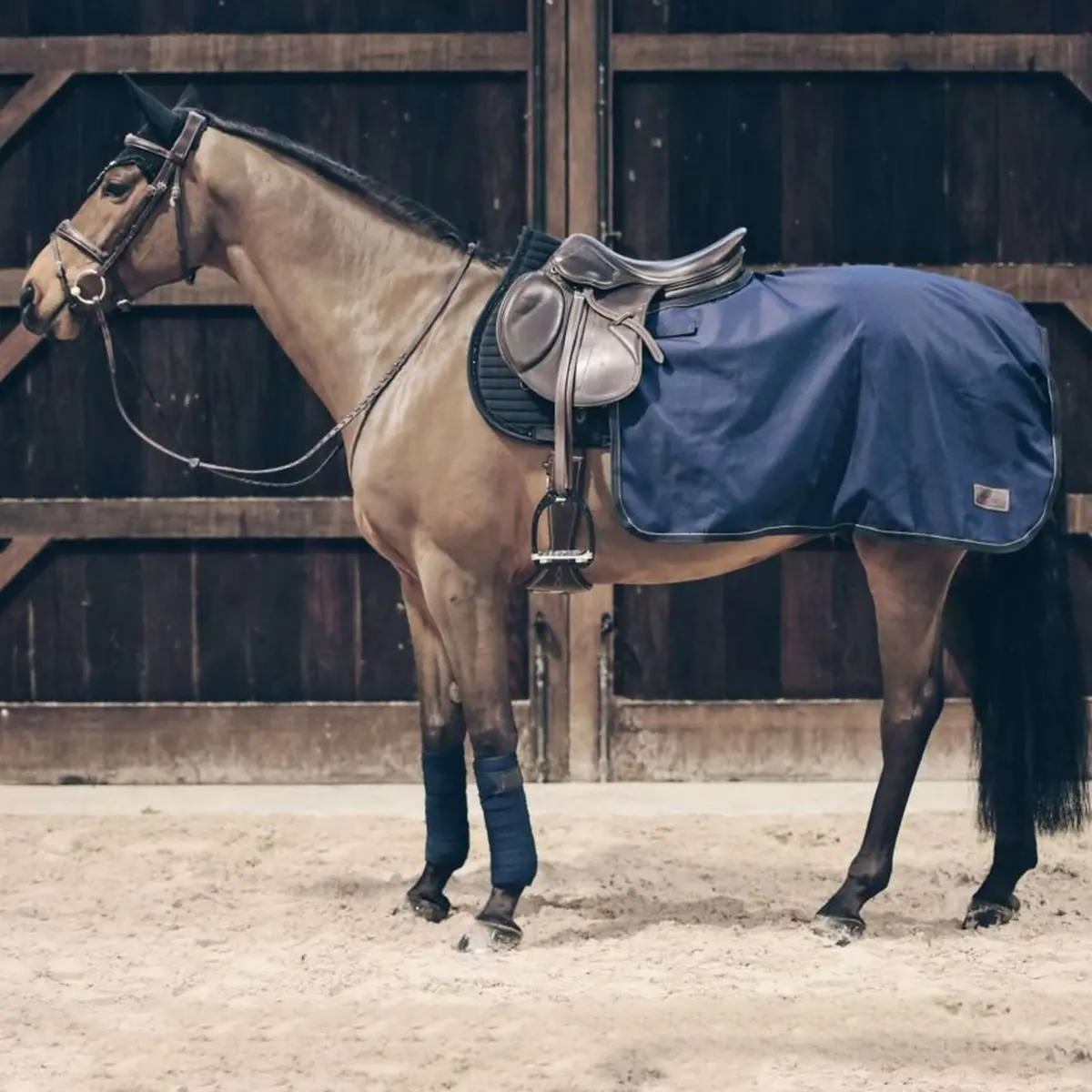 Kentucky Quarter Rug All Weather 160G Navy 1