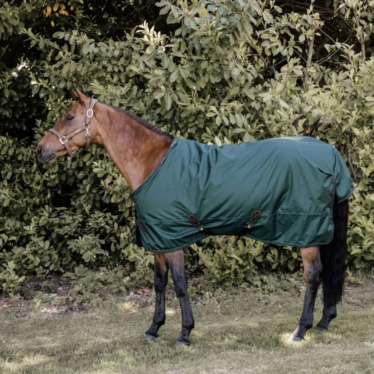 Kentucky Turnout All Weather 160G Donker Groen 1