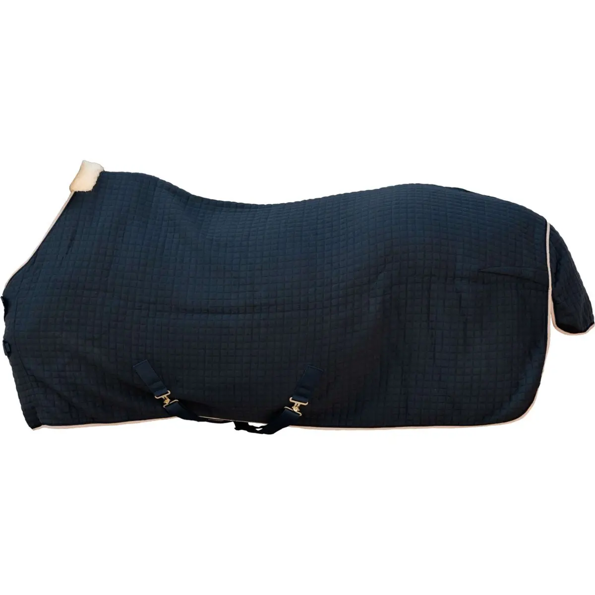 Kentucky Cooler Protherm Navy 1