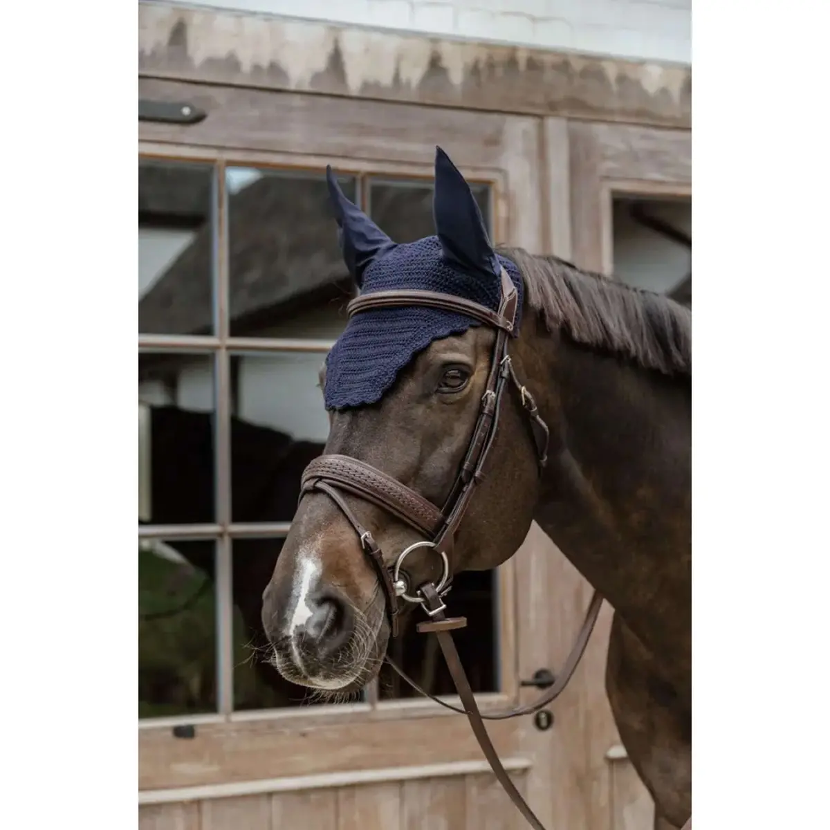 Kentucky Oornetje Wellington Wave Donker Navy 1