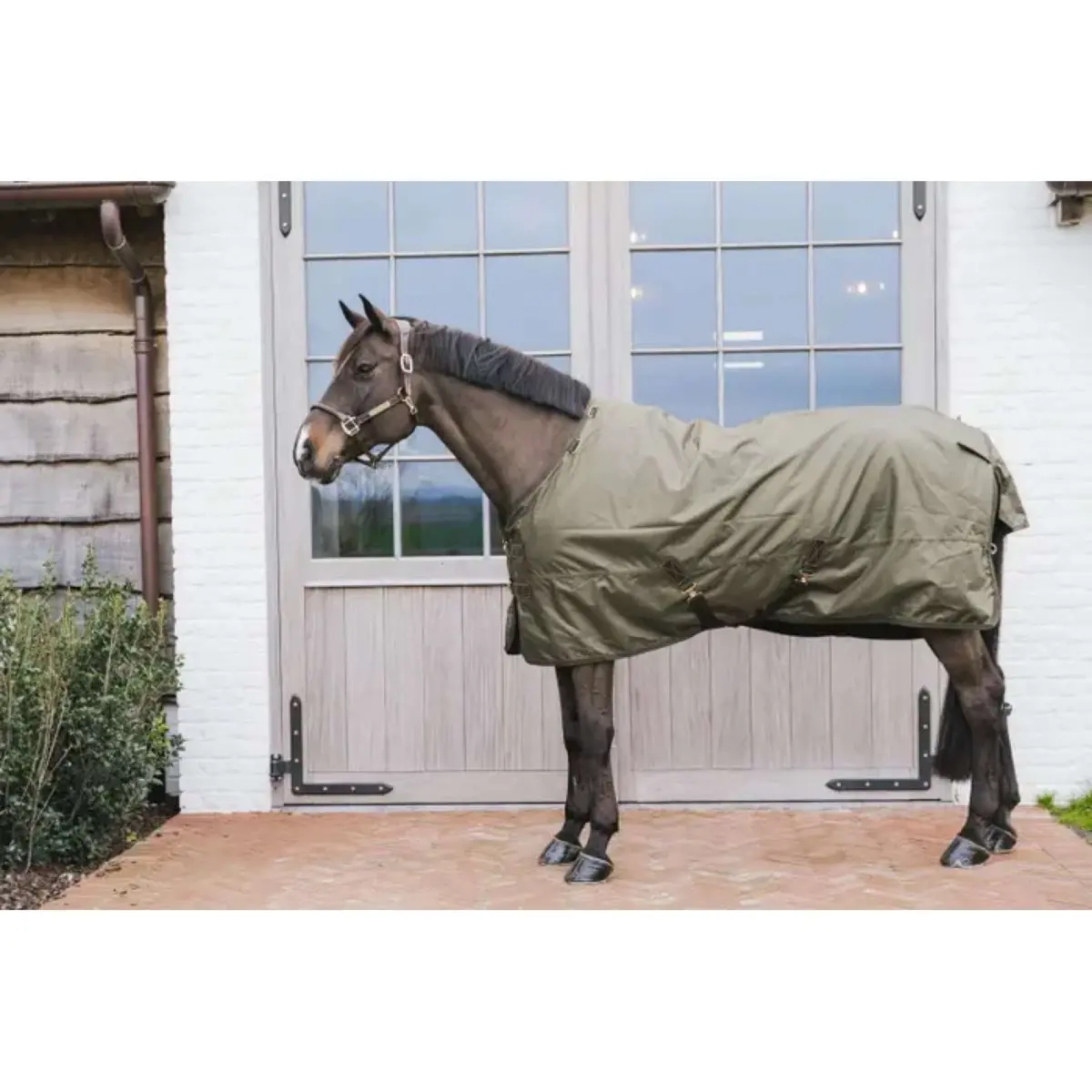Kentucky Turnout All Weather 160G Kaki 1