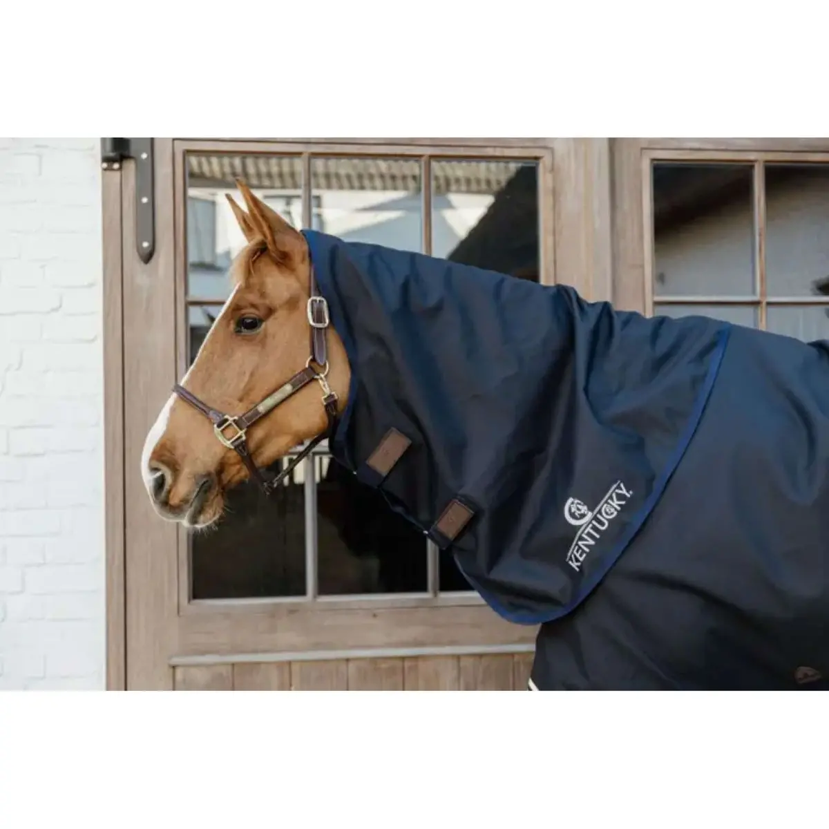 Kentucky Halsstuk All Weather Comfort Waterproof Navy 1