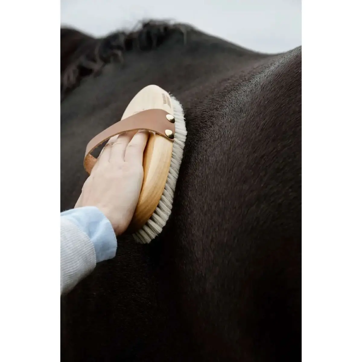 Kentucky Horsewear Borstel Soft Shine 1
