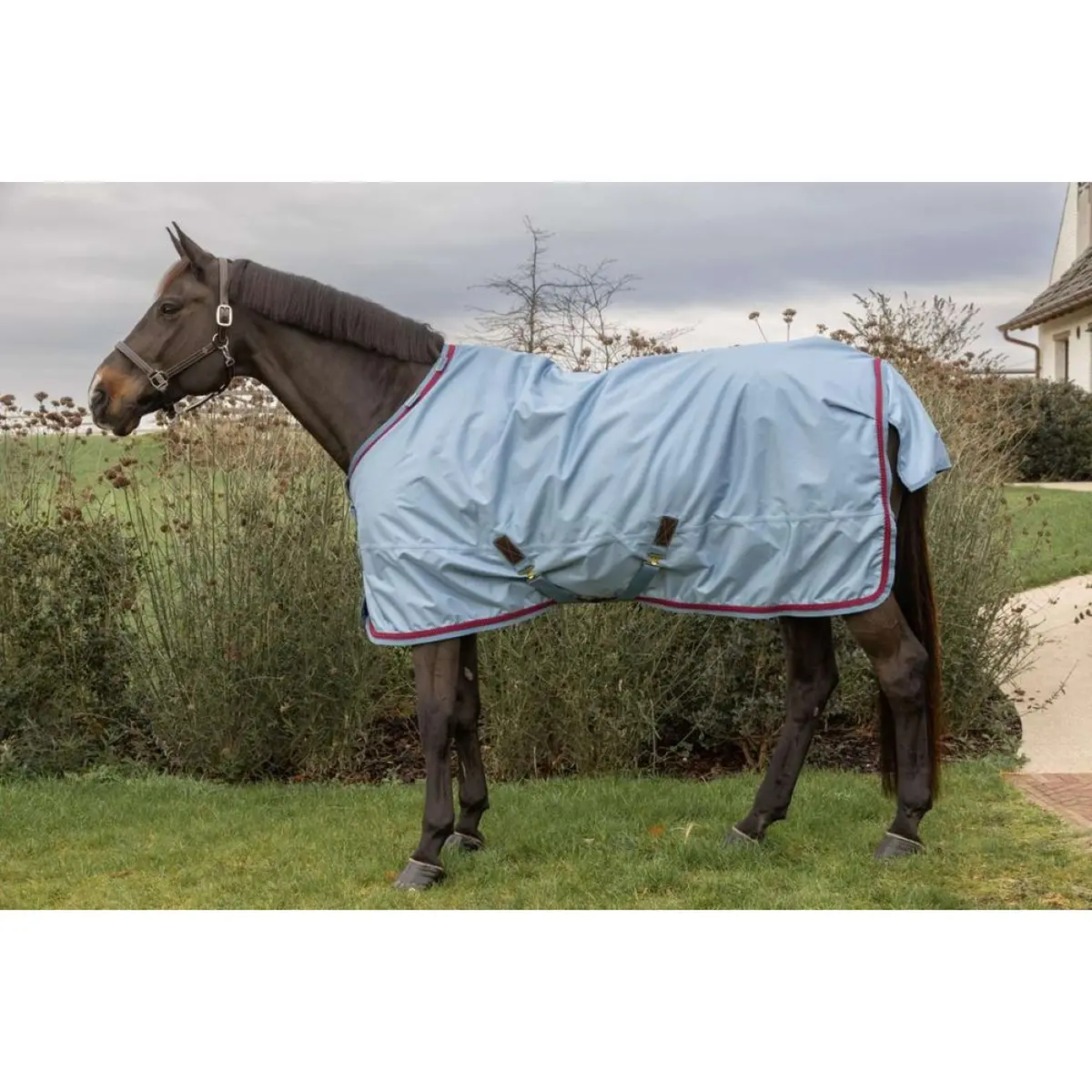 Kentucky Winterdeken All Weather Waterproof Pro 160G Denim 1