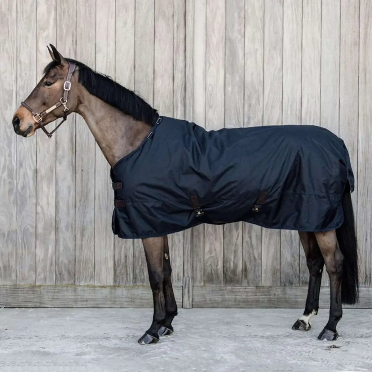 Kentucky Turnout Rug All Weather Waterproof Classic 150G Navy 1