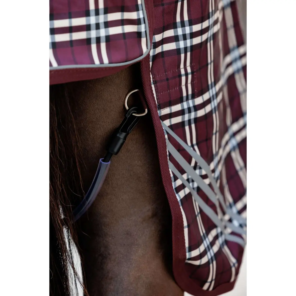 Kentucky Winterdeken All Weather Waterproof Comfort 200G Bordeaux 7