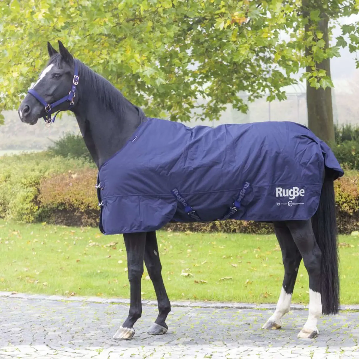 Rugbe By Covalliero Winterdeken Iceprotect 300G Dark Navy 1