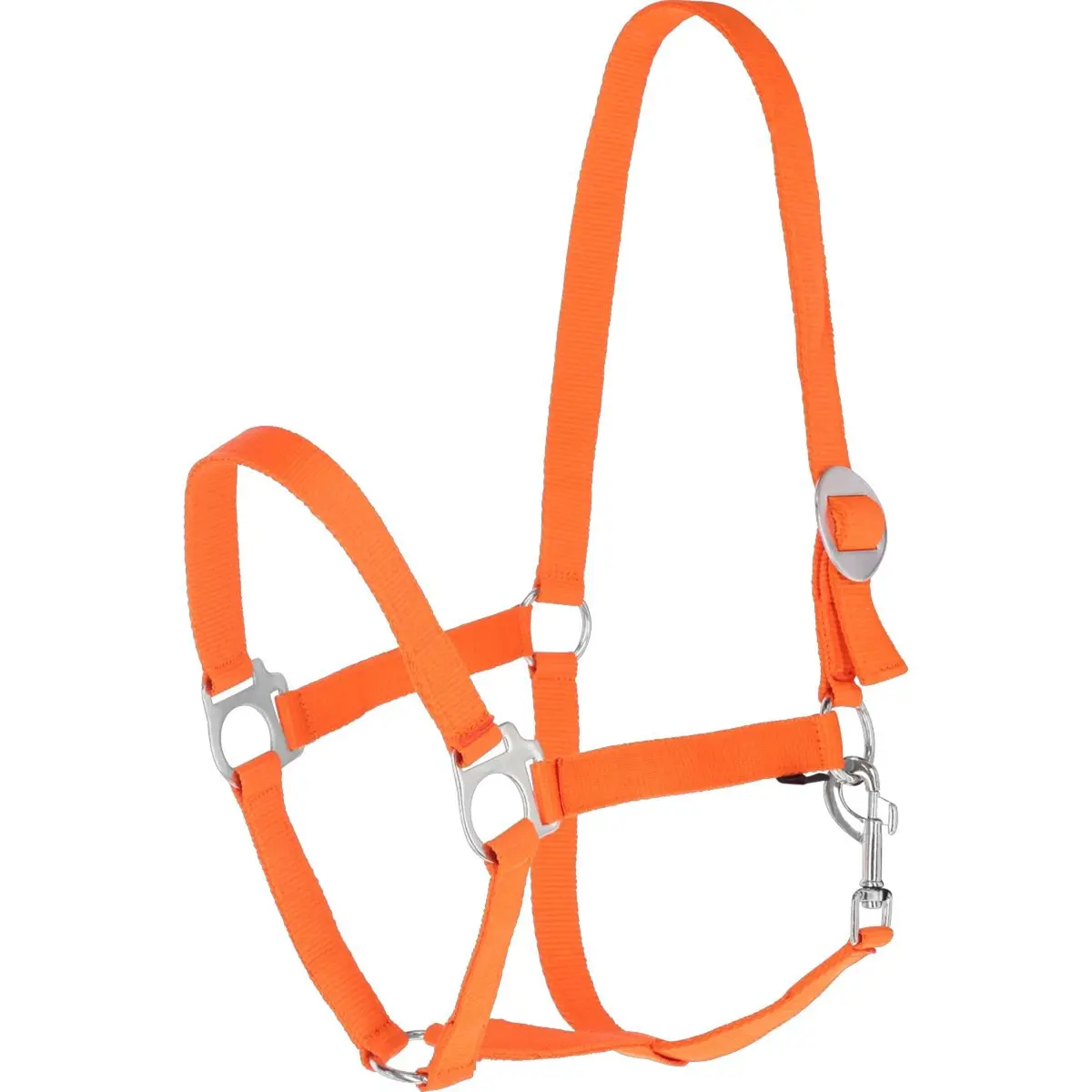 Covalliero Halster Hippo Oranje 1