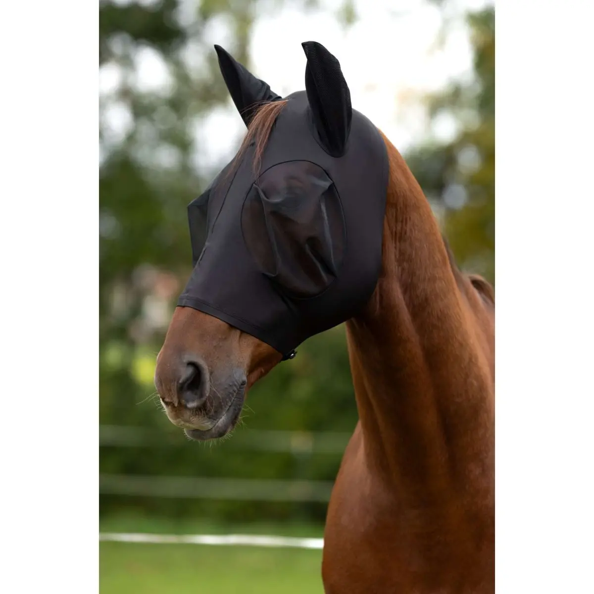 Covalliero Vliegenmasker Finostretch Zwart 1