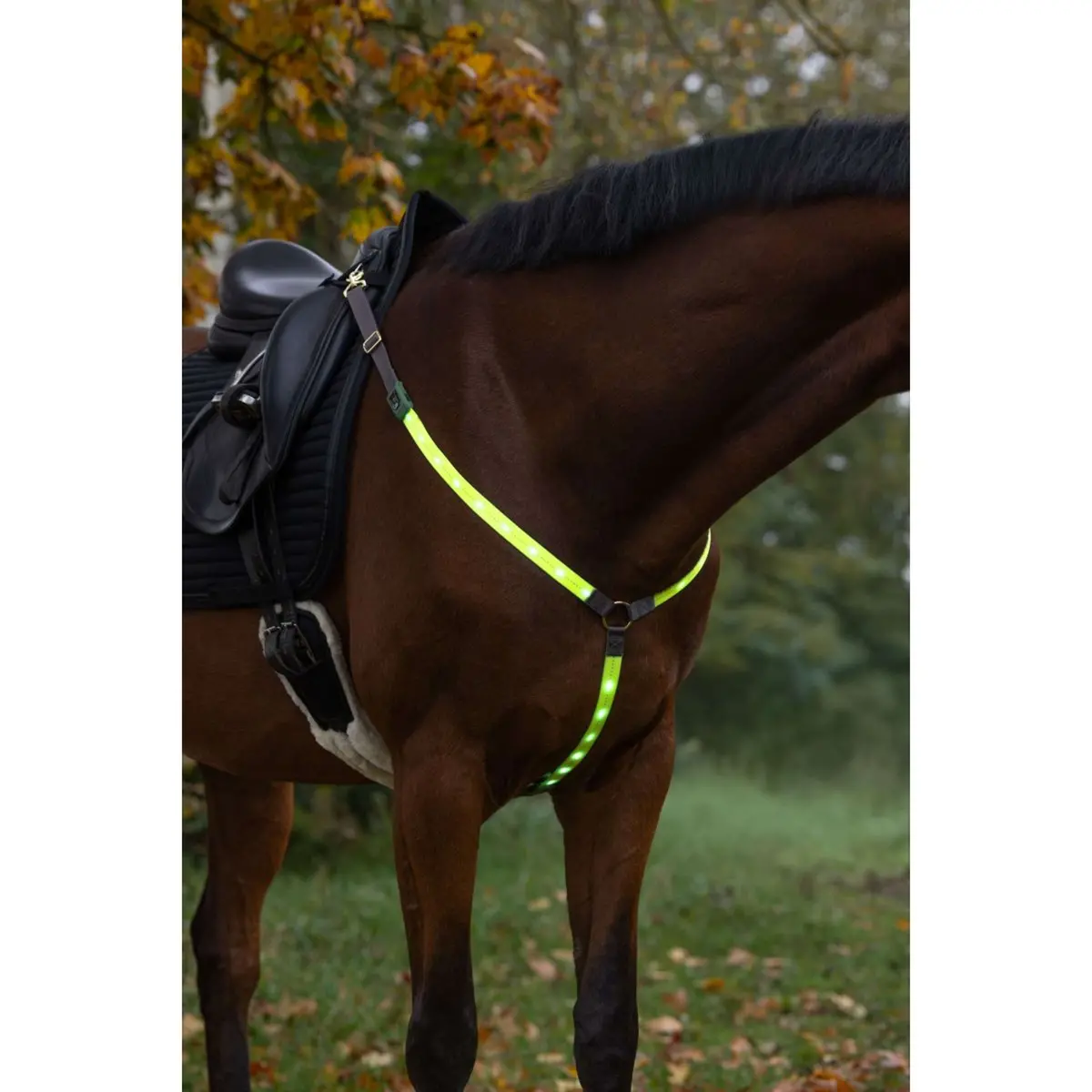 Covalliero Borsttuig Led Reflectie 2