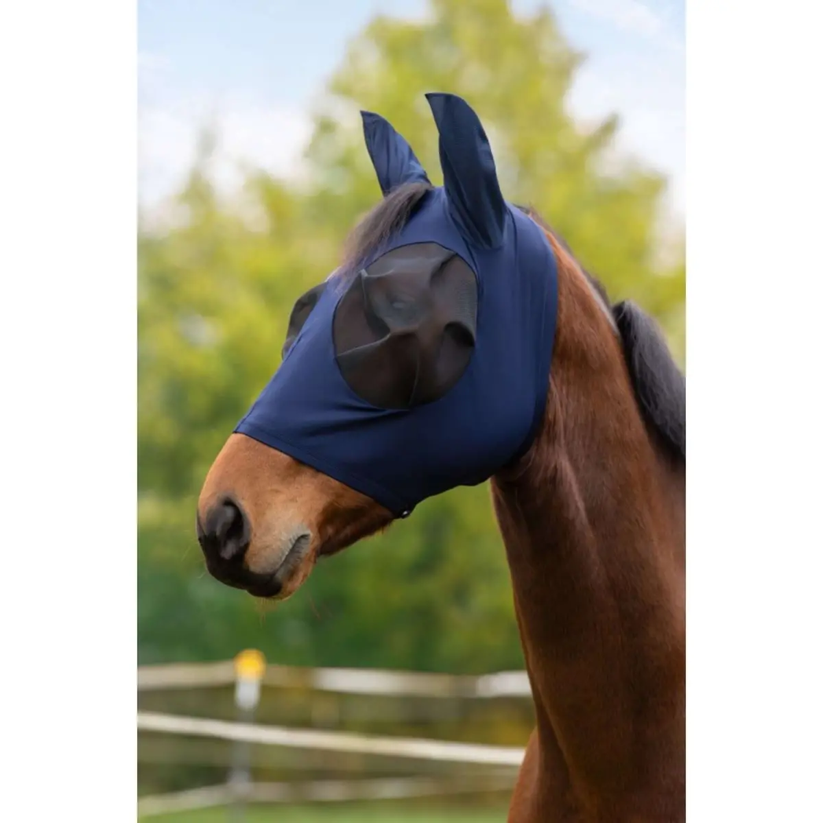 Covalliero Vliegenmasker Finostretch Blauw 1