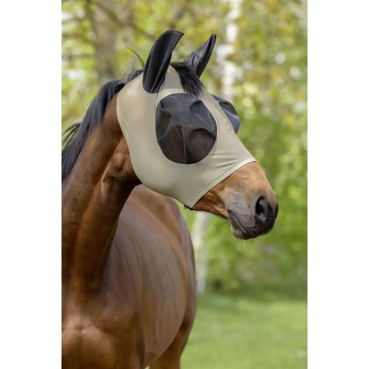 Covalliero Vliegenmasker Finostretch Walnoot 1