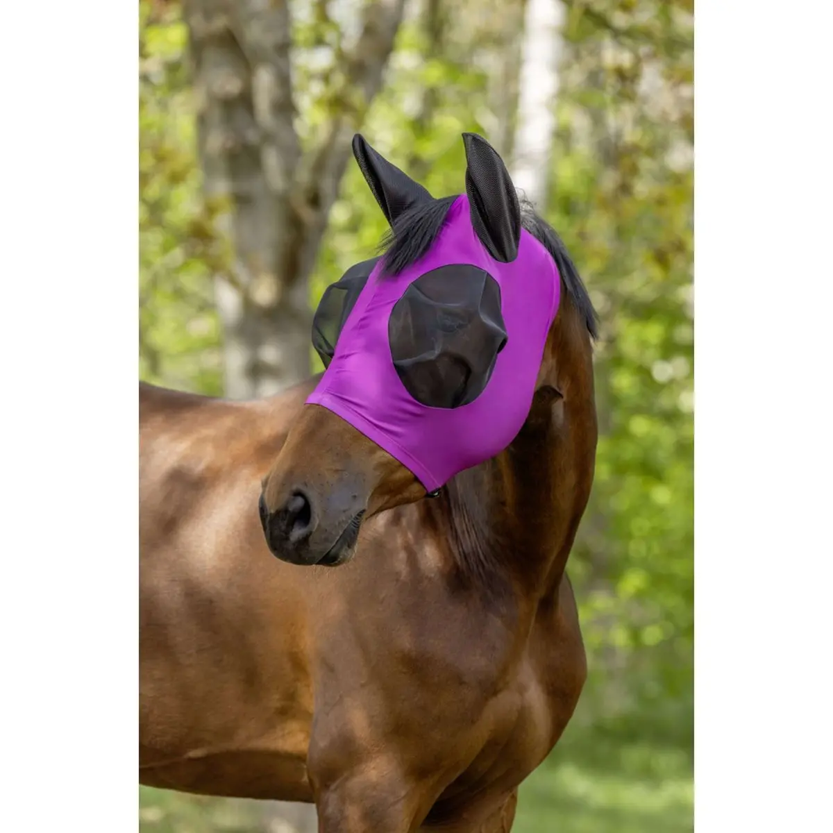 Covalliero Vliegenmasker Finostretch Light Berry 1