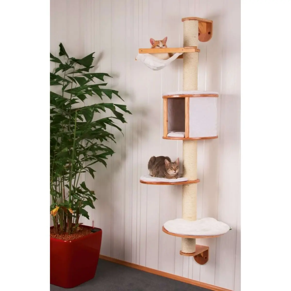 Kerbl Krabber Muur Dolomit 1