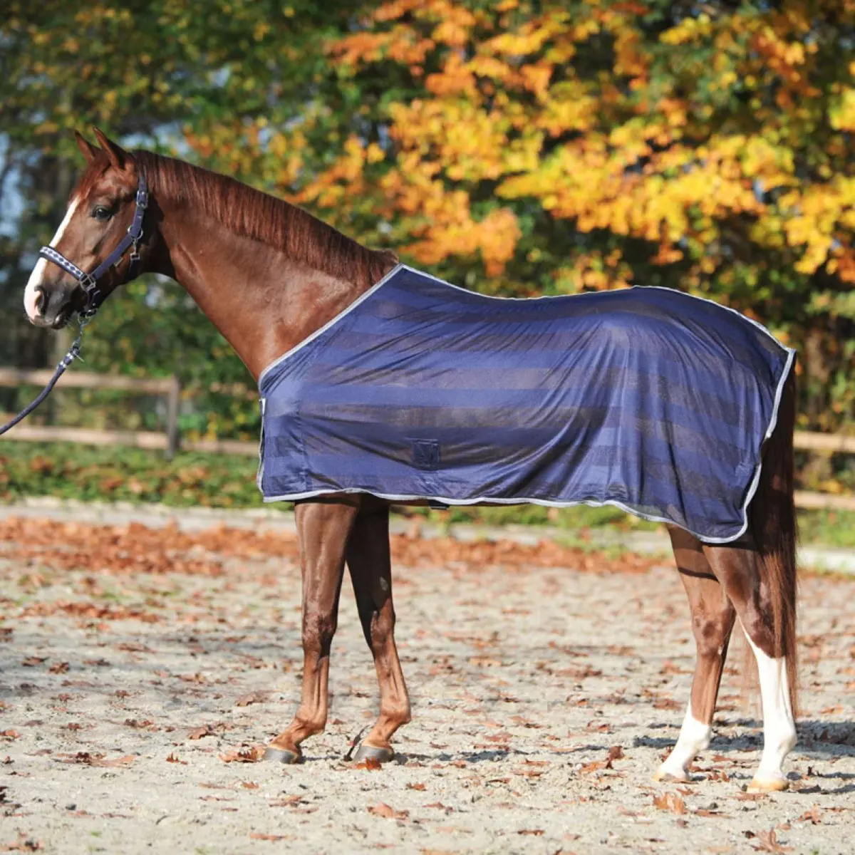 Kavalkade Vliegendeken Stripe Navy 1