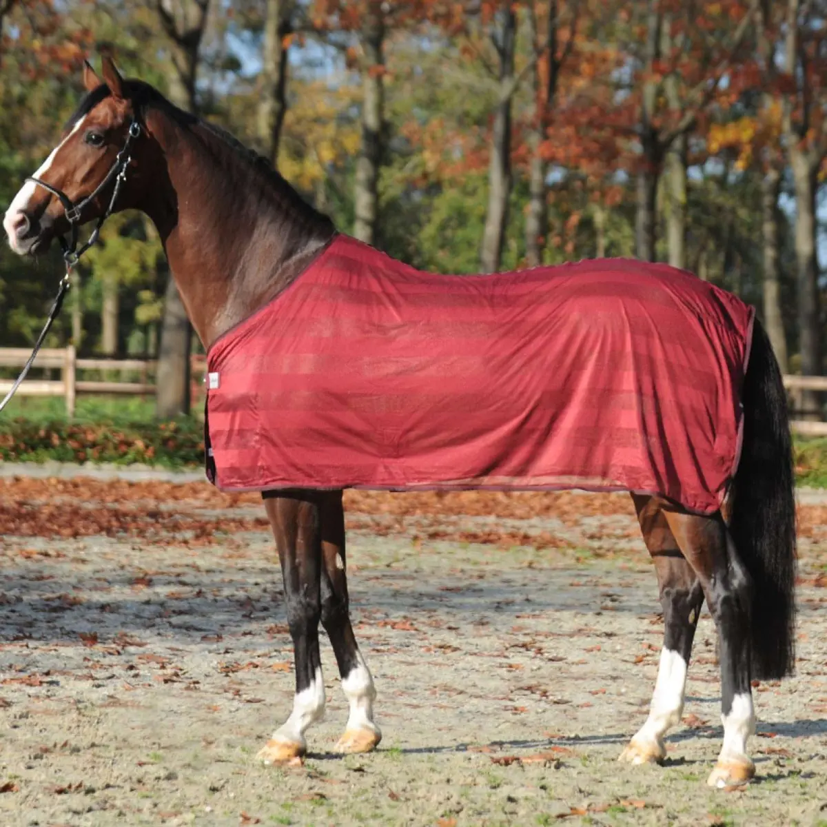 Kavalkade Vliegendeken Stripe Bordeaux 1