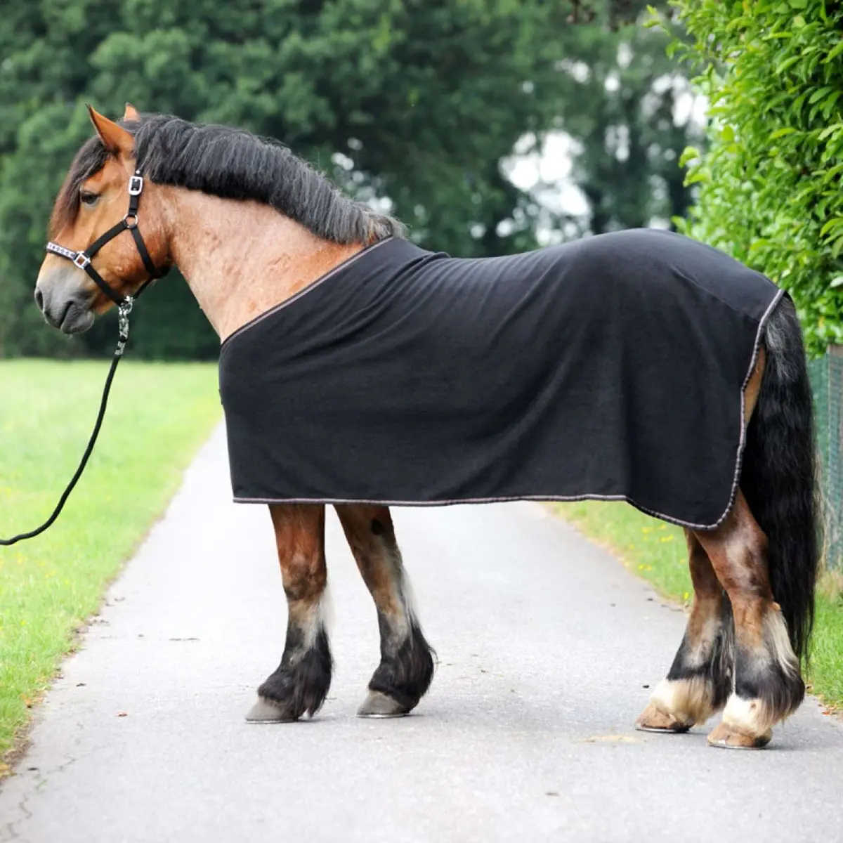 Kavalkade Fleece Cooler Kaltblut-Ecoline Navy 1
