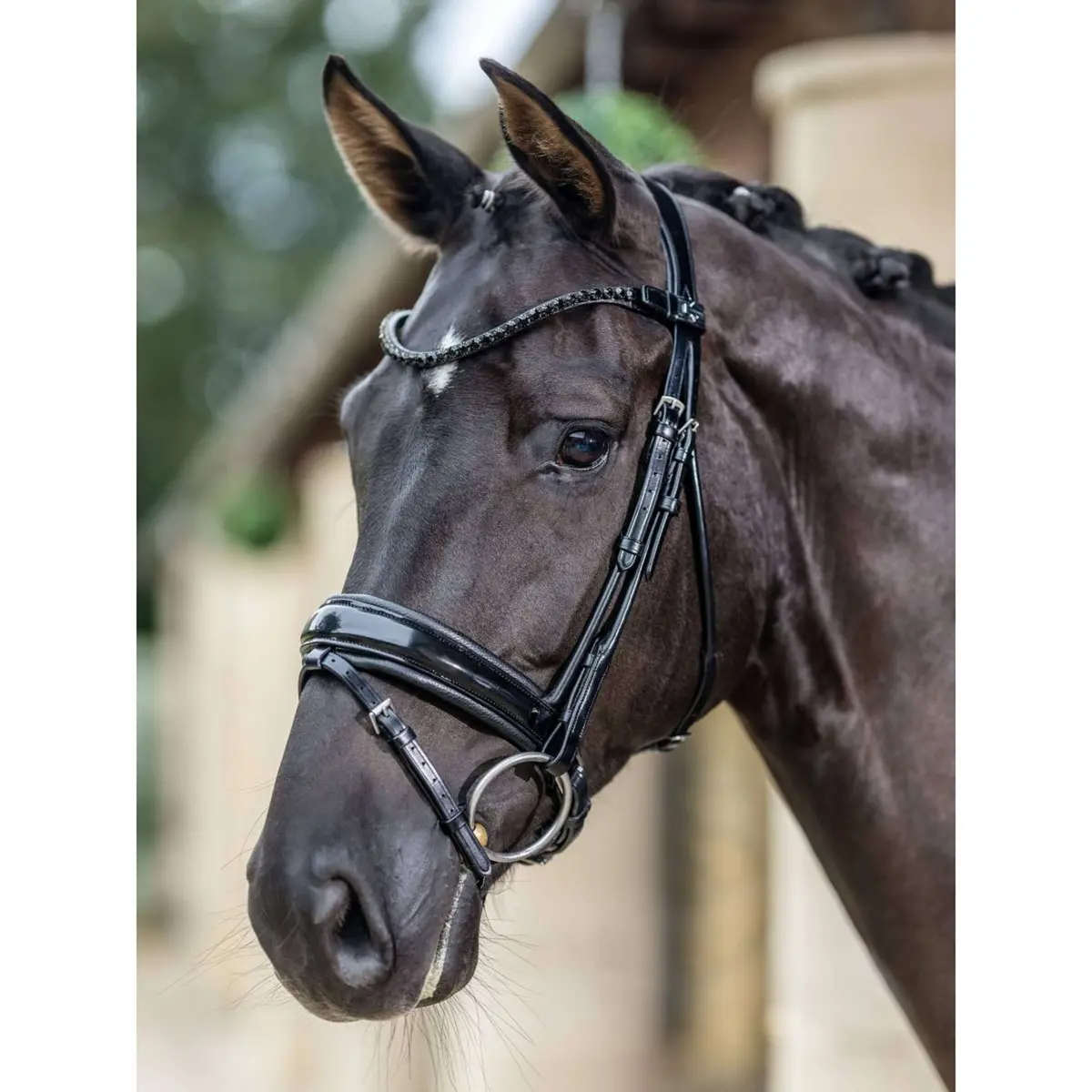 Lemieux Hoofdstel Kudos Patent Dressuur Zwart 1