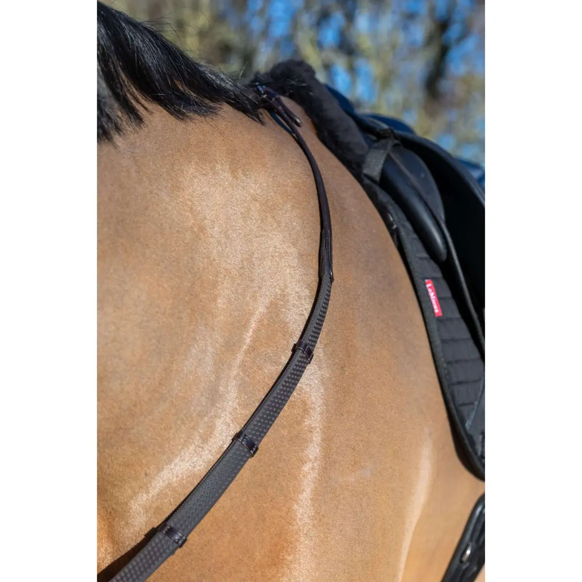 Lemieux Teugels Arika Soft Rubber With Stopper Bruin/Zilver 1