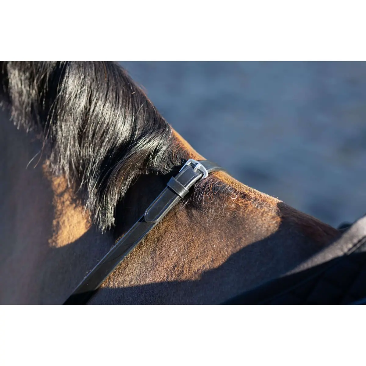 Lemieux Teugels Arika Soft Rubber With Stopper Bruin/Zilver 2