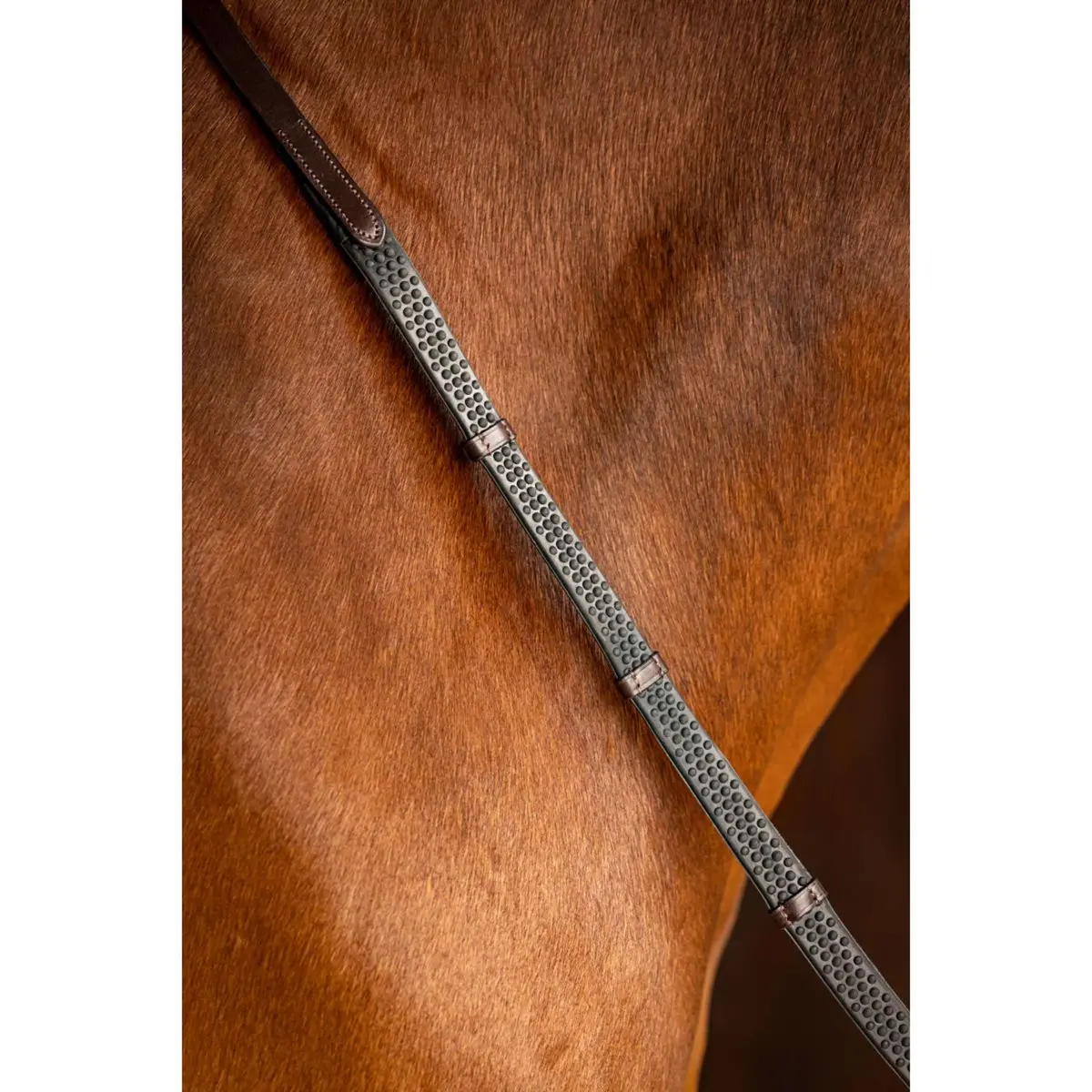 Lemieux Teugels Arika Soft Rubber With Stopper Havana/Brass 1