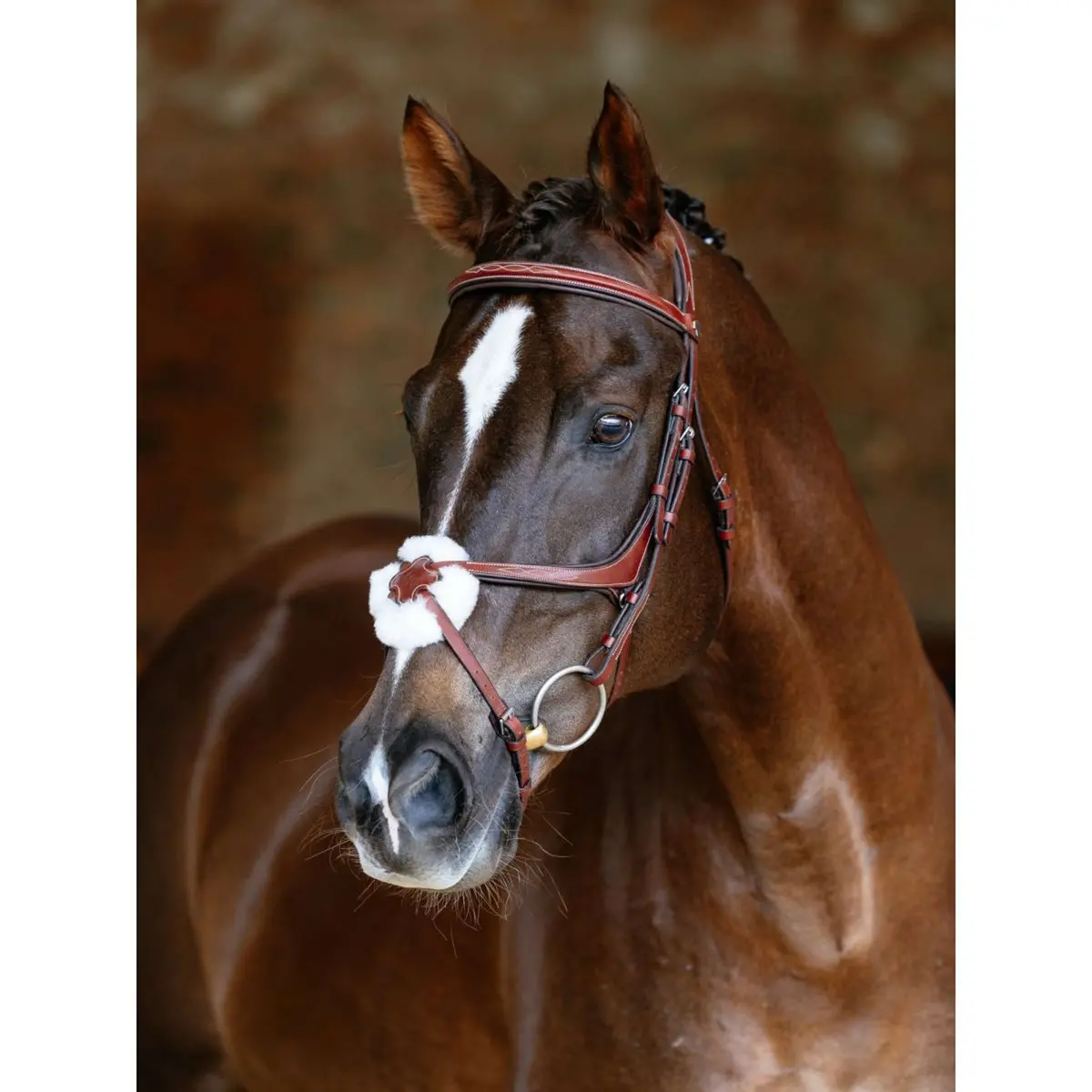 Lemieux Hoofdstel Kudos Grackle Chestnut 1