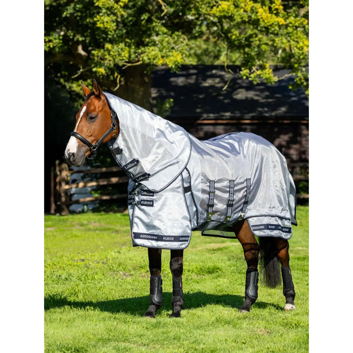 Lemieux Vliegendeken Kudos Aeroguard Zilver 1