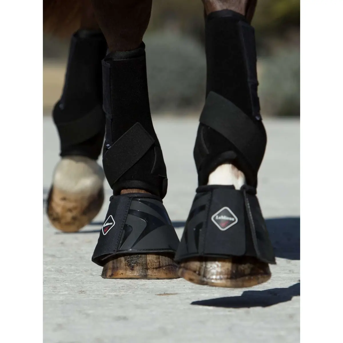 Lemieux Springschoenen Brushing Proshell Zwart 2