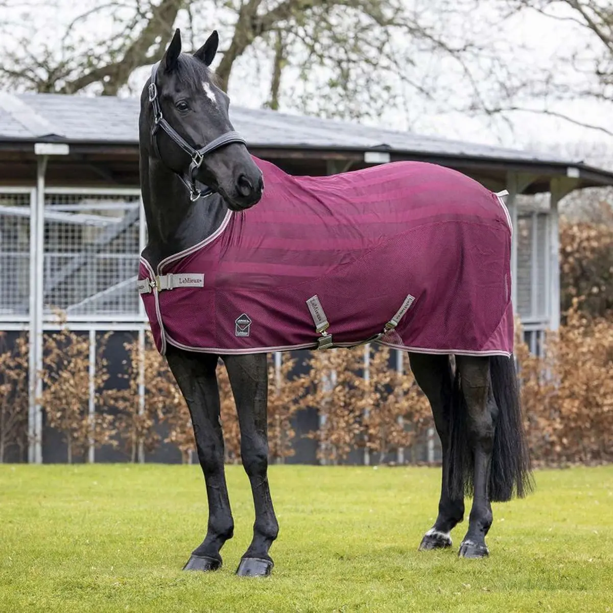 Lemieux Vliegendeken Arika Air-Tek Burgundy 1