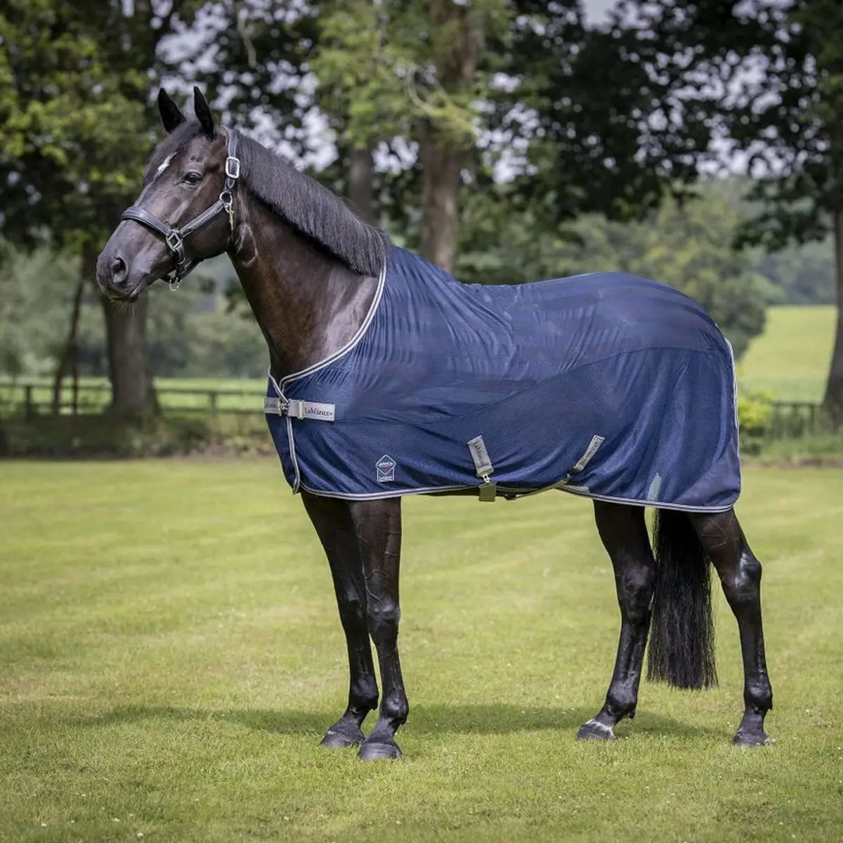 Lemieux Vliegendeken Arika Air-Tek Navy 1