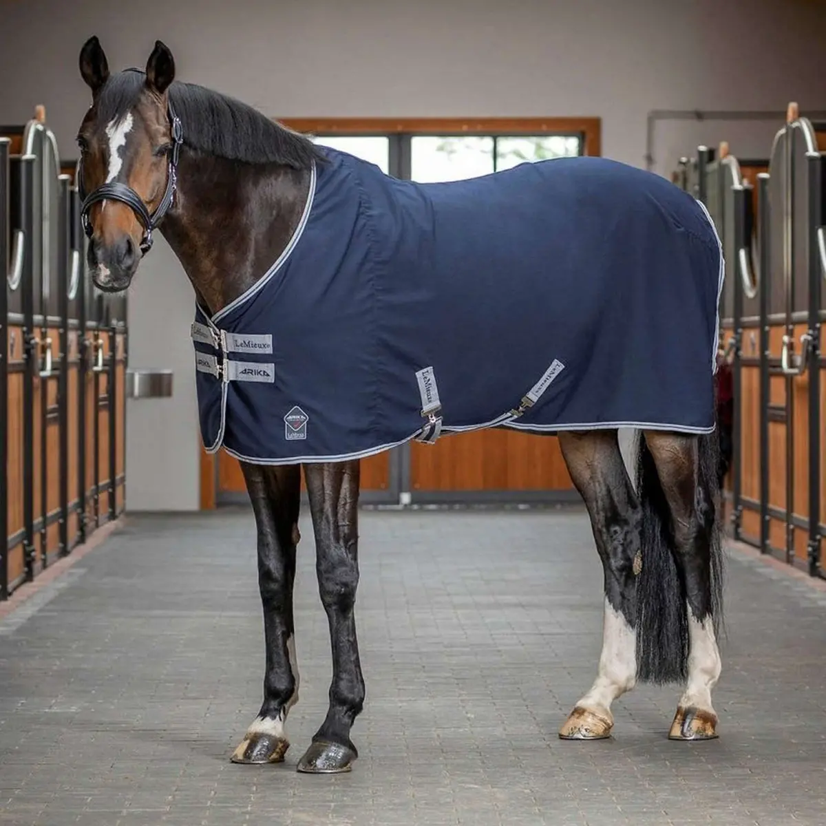 Lemieux Staldeken Arika Stable Navy 1