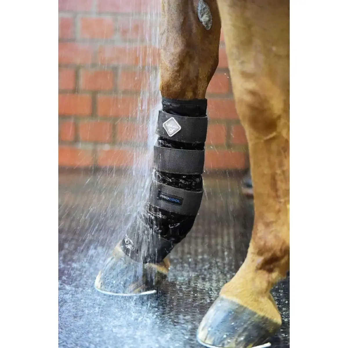 Lemieux Boots Cold Water Zwart 1