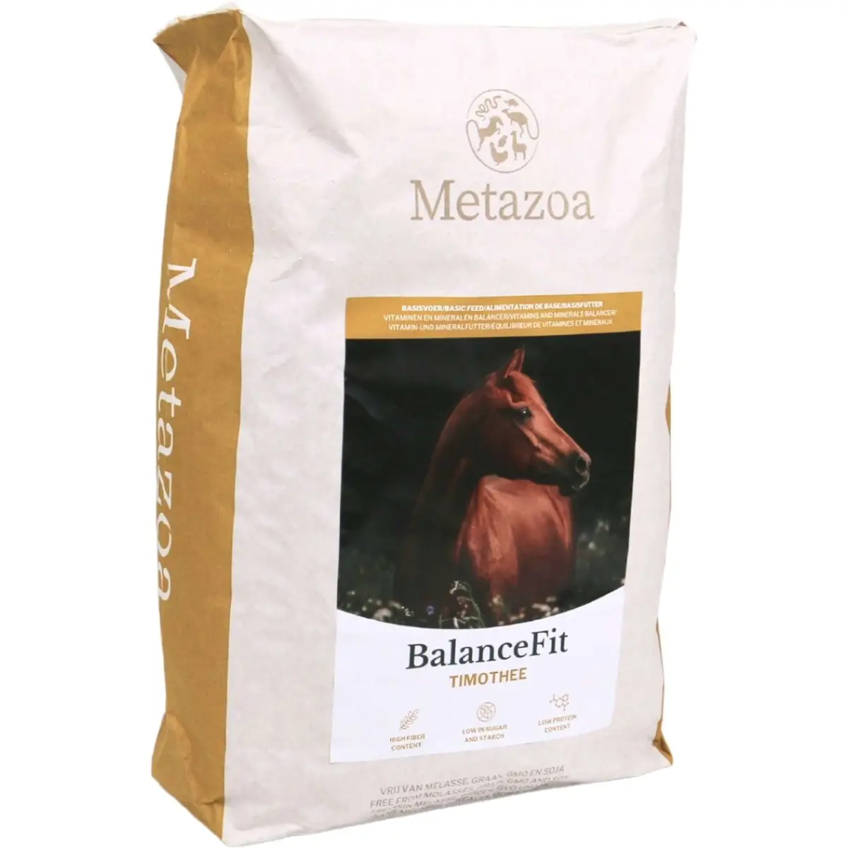 Metazoa Balancefit Timothee 1