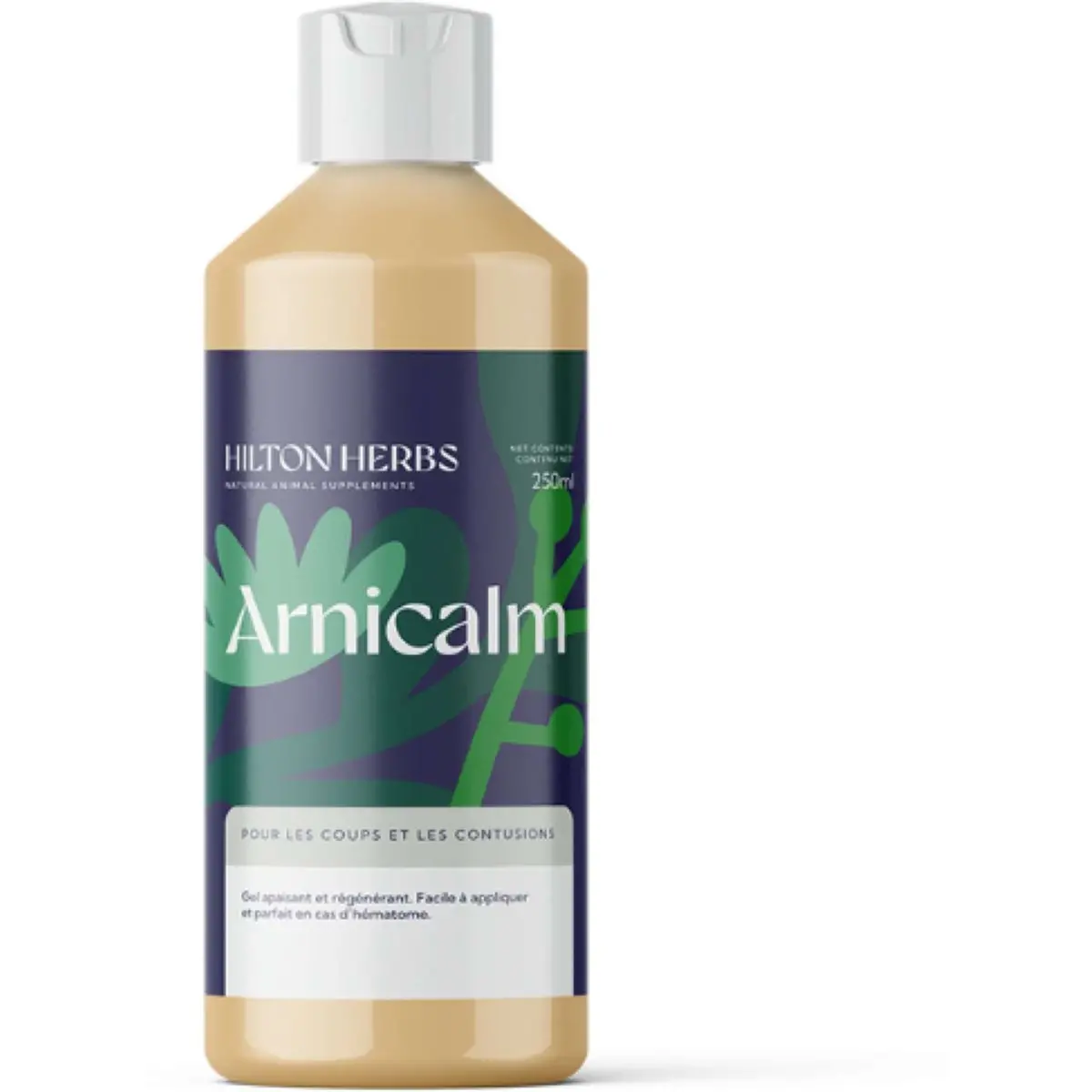 Hilton Herbs Ezee Arnica 1