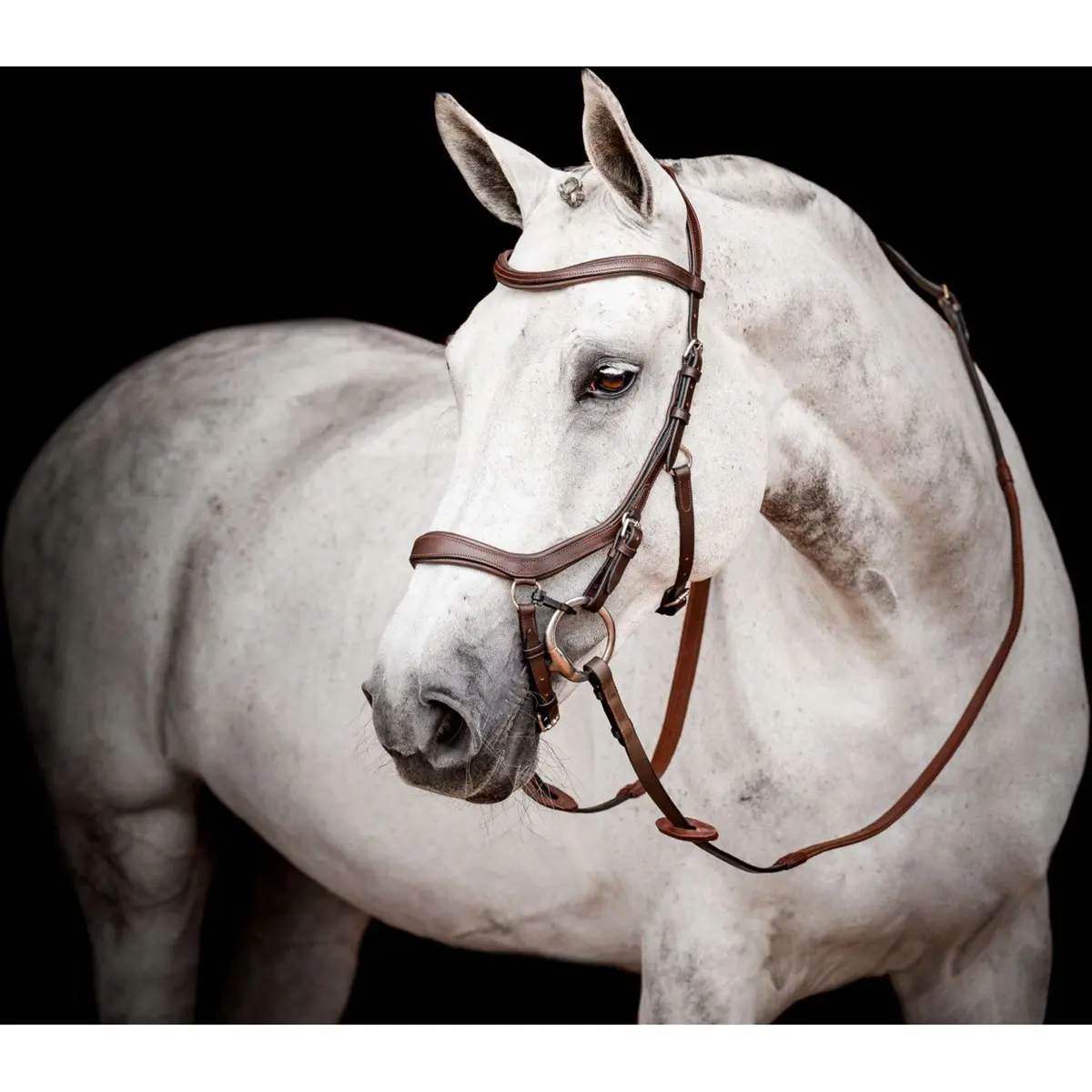 Horseware Micklem Multi Bridle New Dark Havana 1