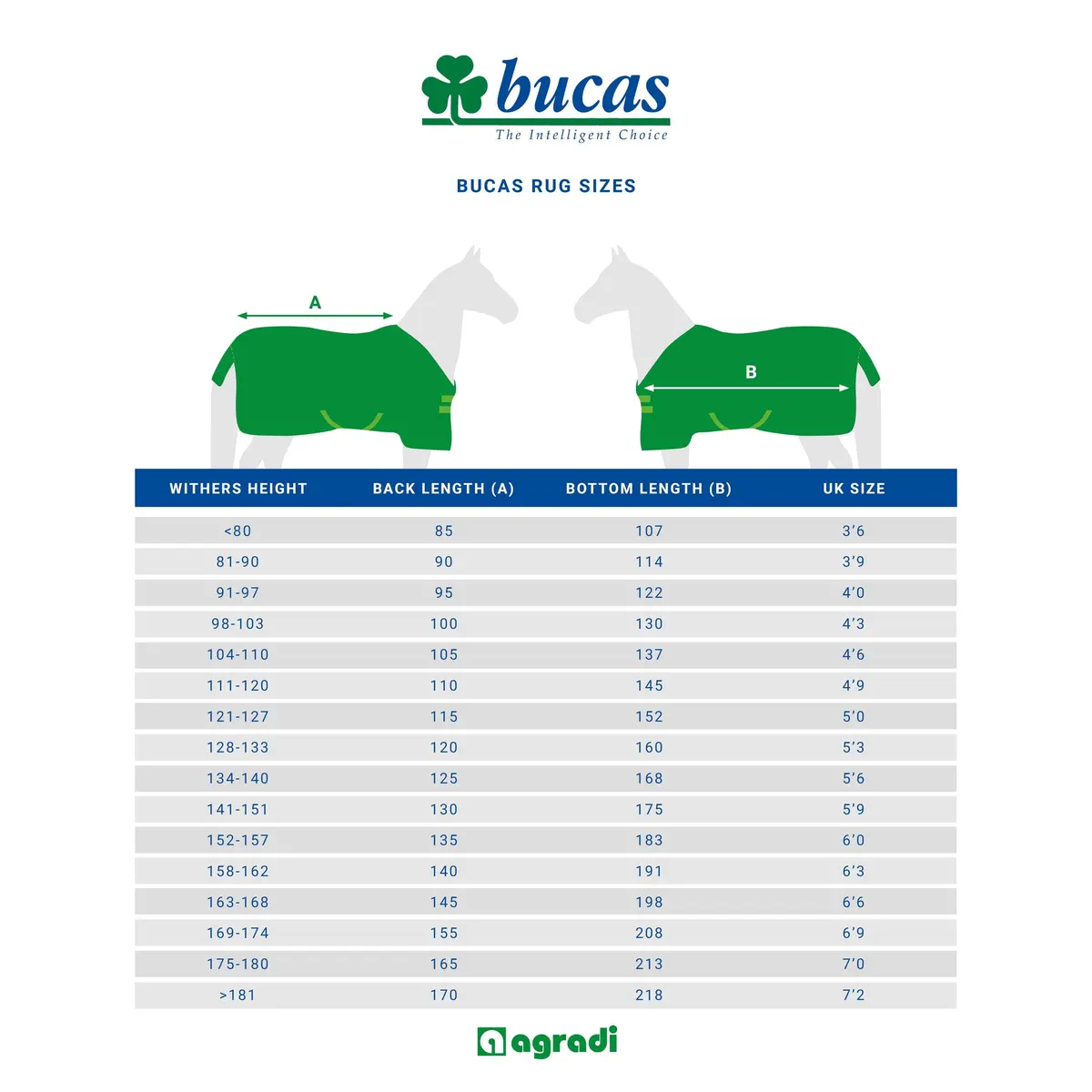 Bucas Fleecedeken Show-Line 400 Burgundy 2