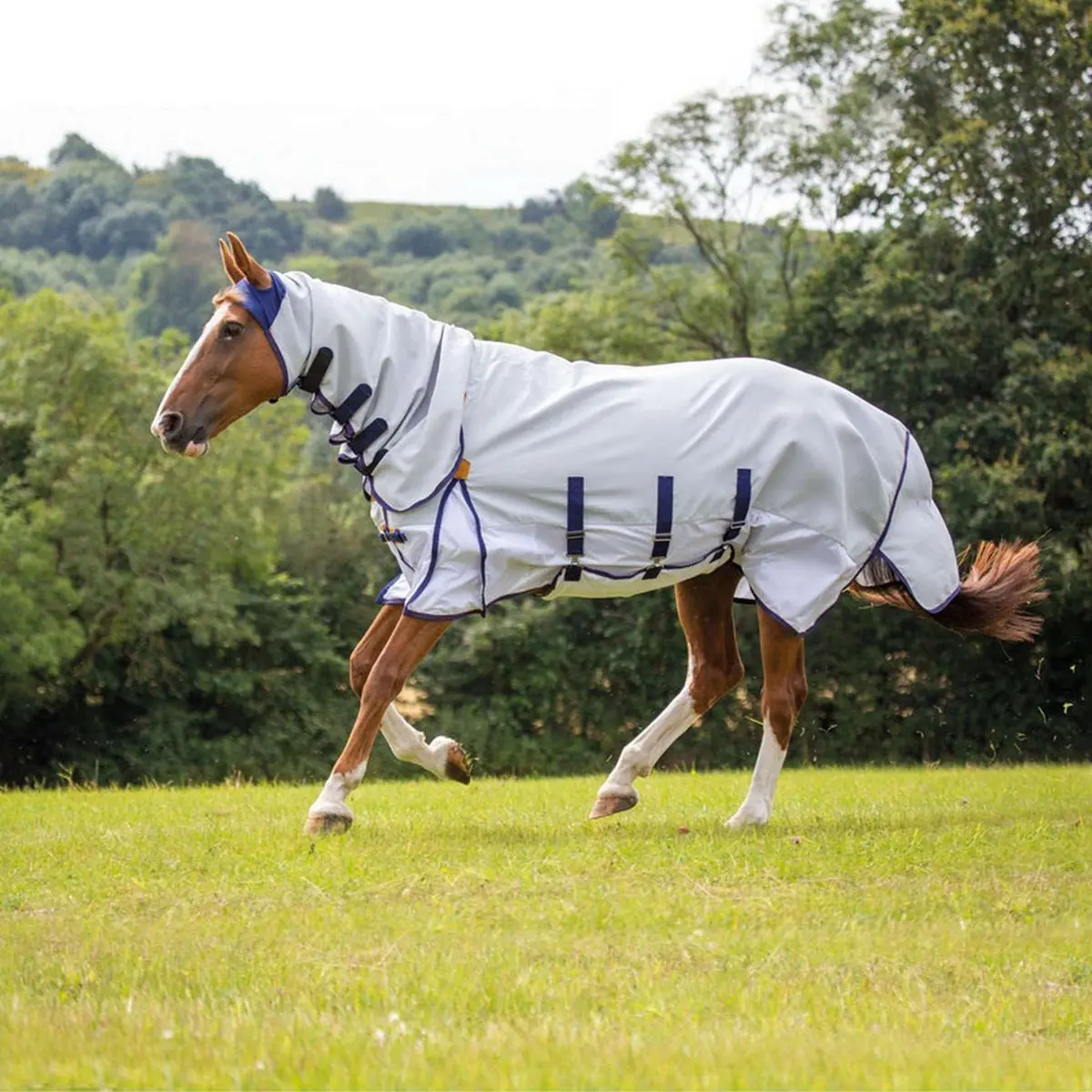 Shires Vliegendeken Highlander Plus Sun Shade Combo Grijs 1