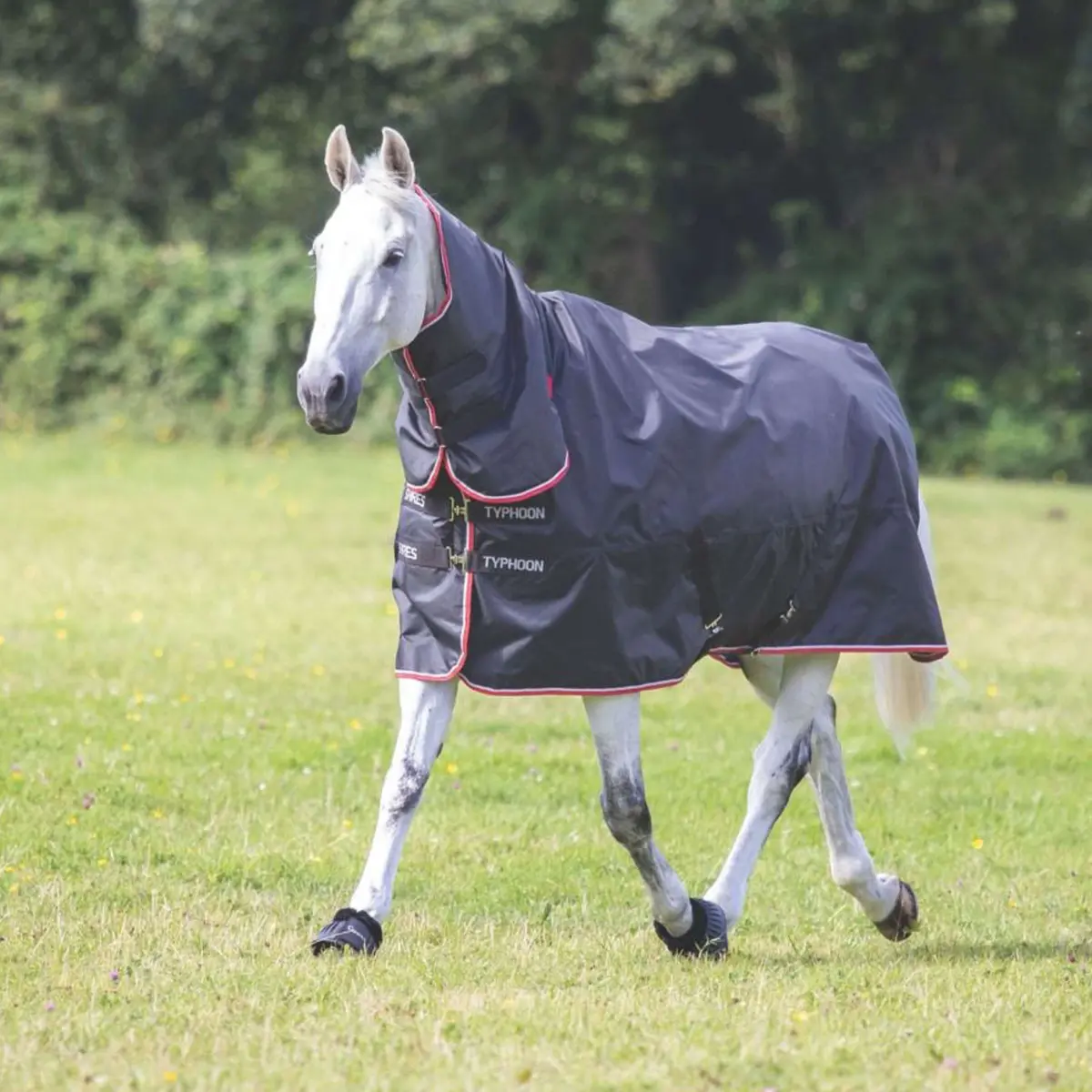 Tempest Winterdeken Turnout Typhoon Combo 200G Zwart 1