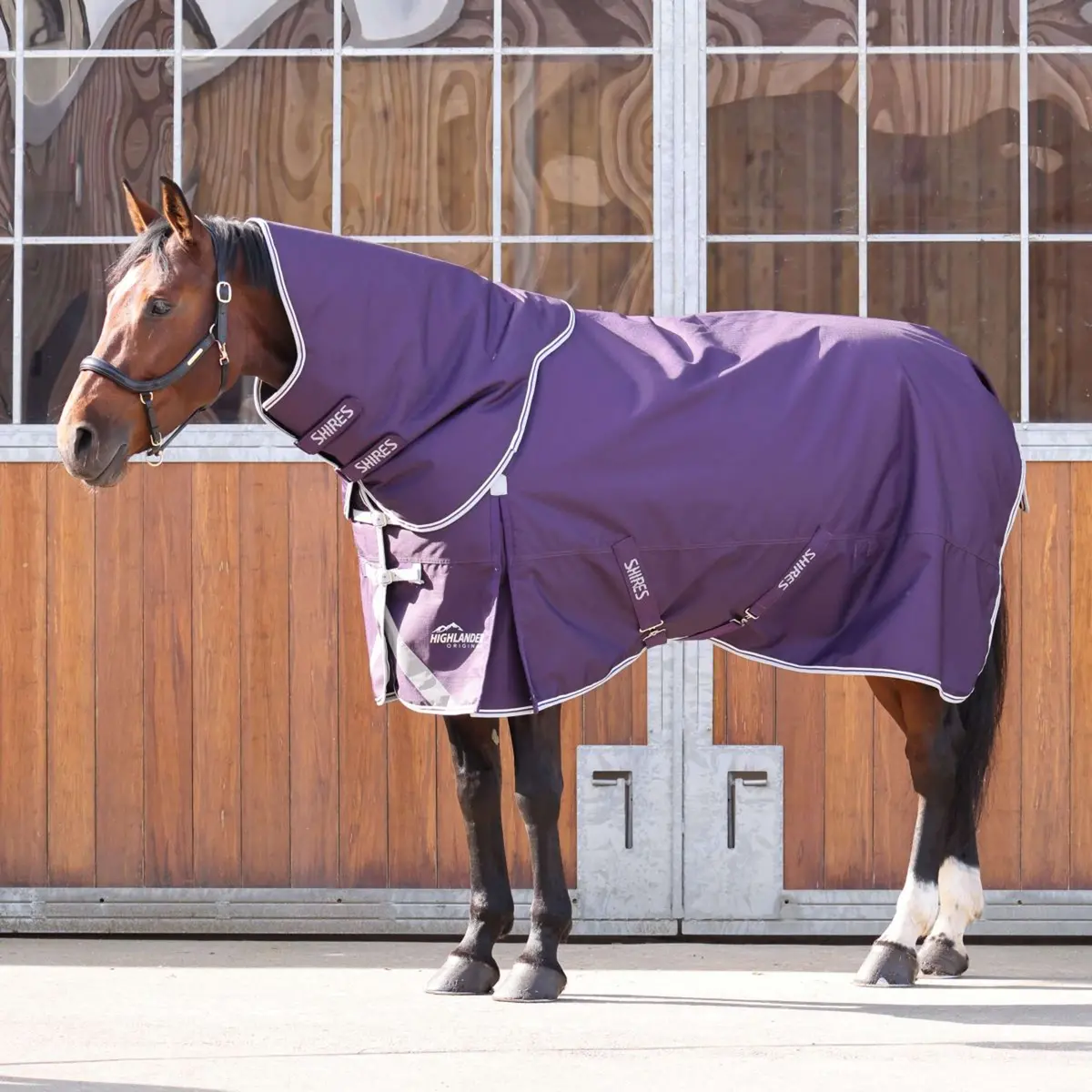 Shires Outdoordeken Original 100G Turnout Met Hals 1