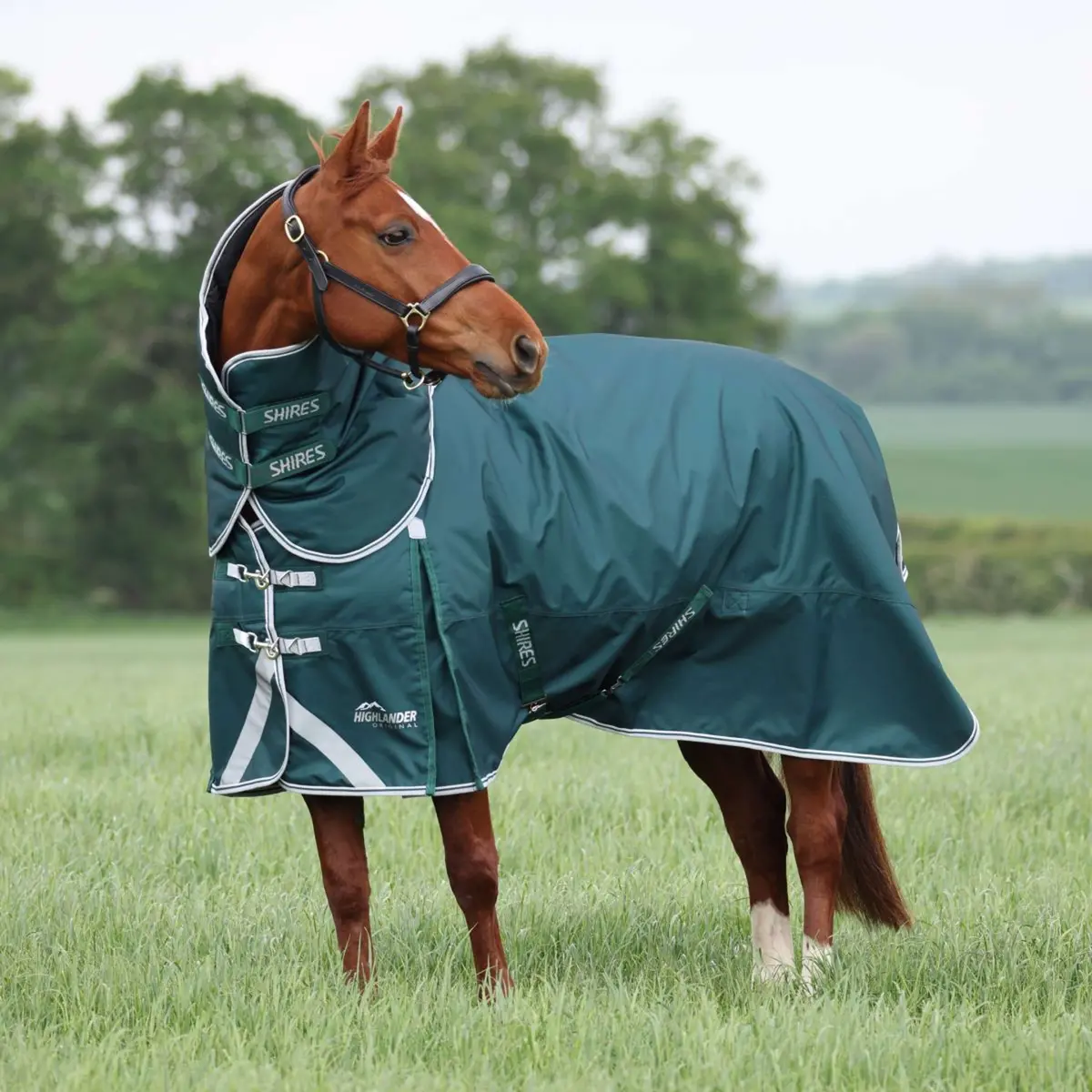 Highlander Original Winterdeken Turnout 300G Met Halsstuk Groen 1