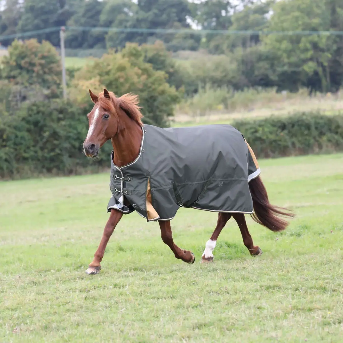 Highlander Plus Regendeken Turnout 50G Groen 1