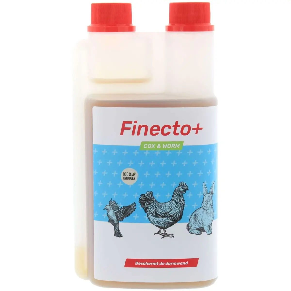Finecto Cox&Worm 1