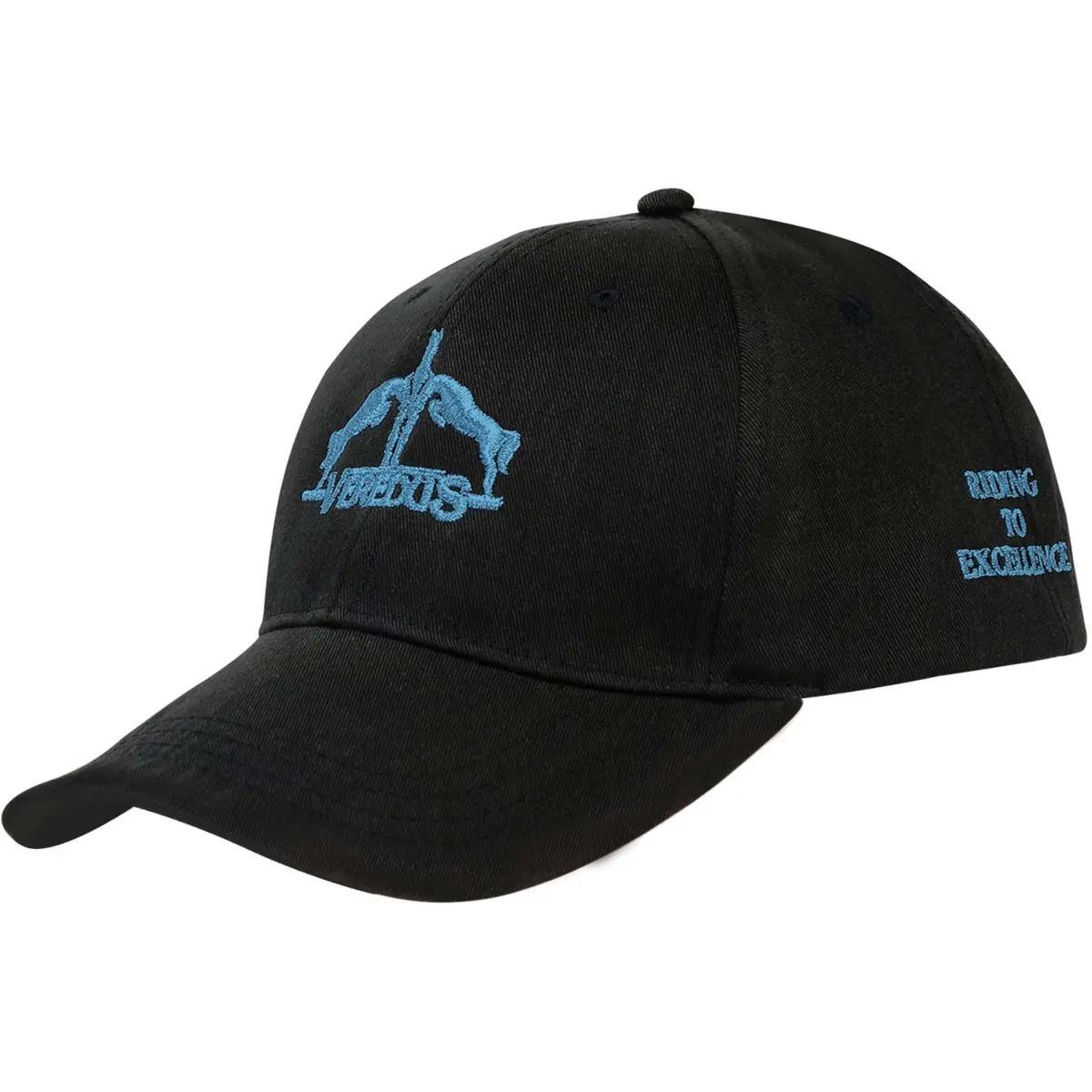 Veredus Pet Logo Lichtblauw 1