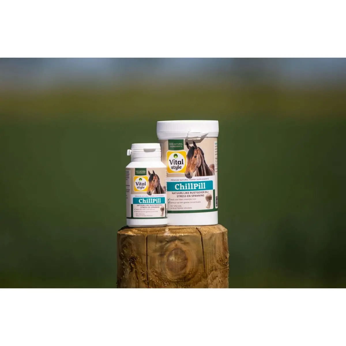 Vitalstyle Chillpill Paard 1